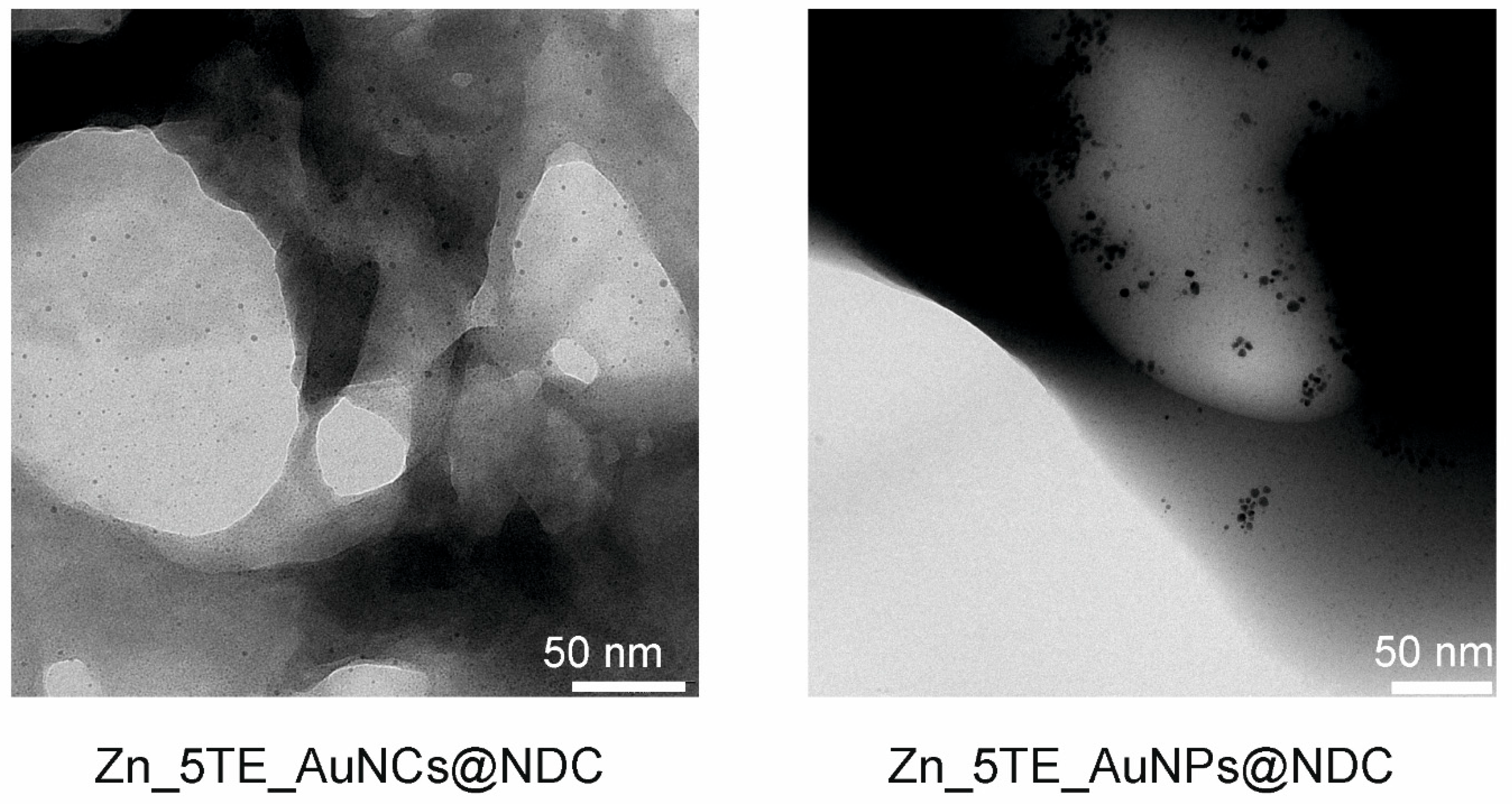 Preprints 185150 g003