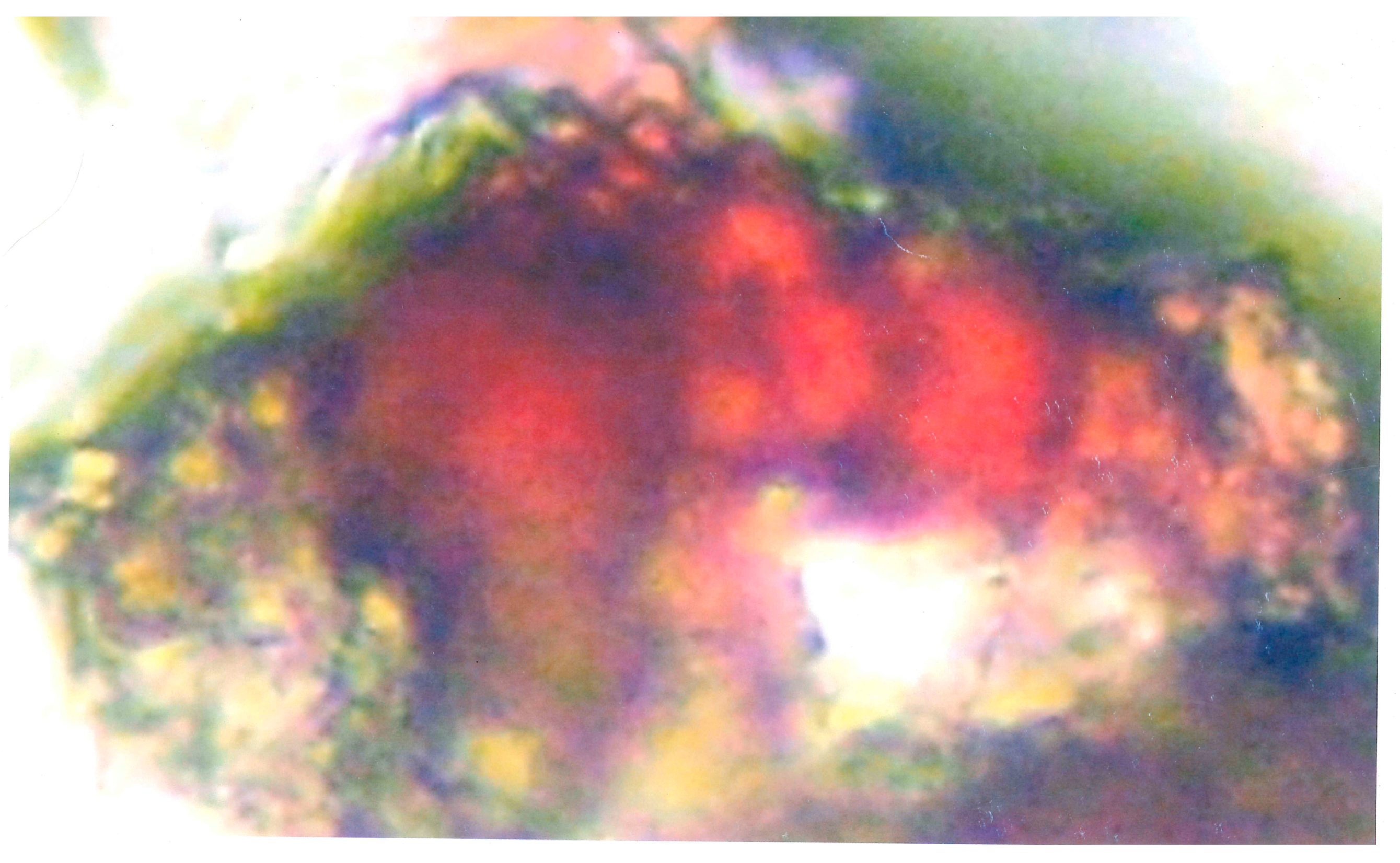 Preprints 151435 g004