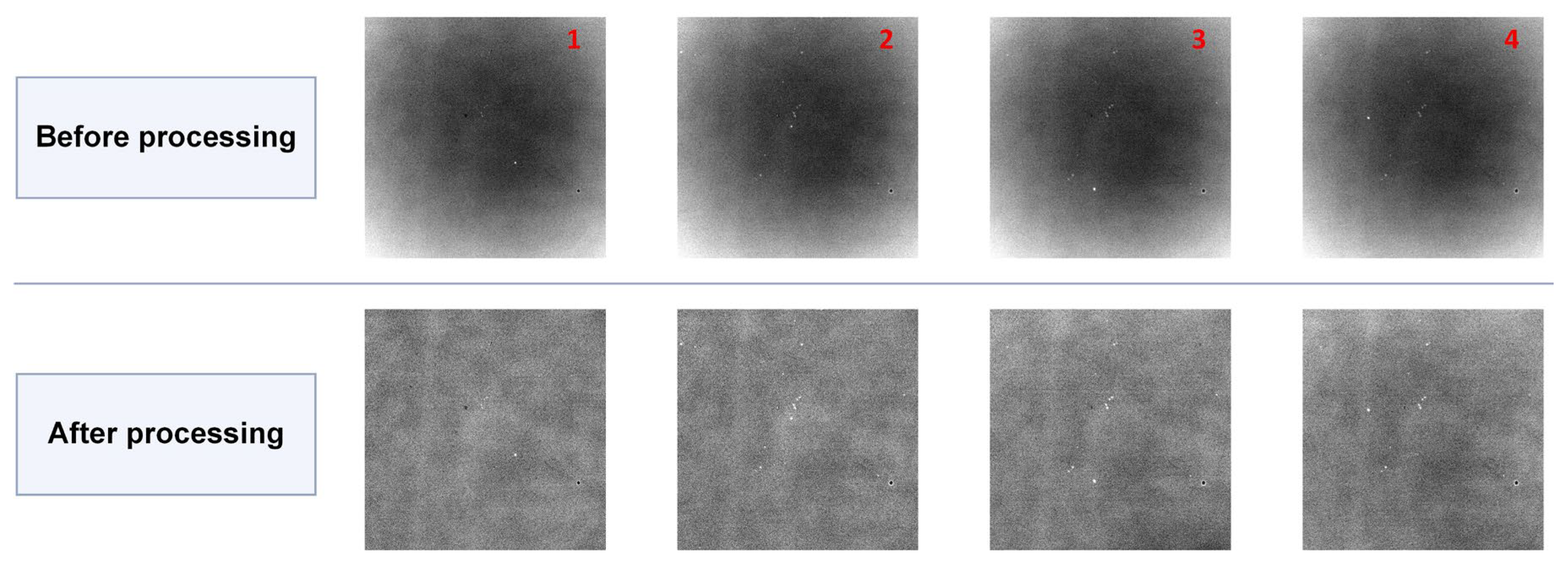 Preprints 215762 g007 Preprints 215762 g007