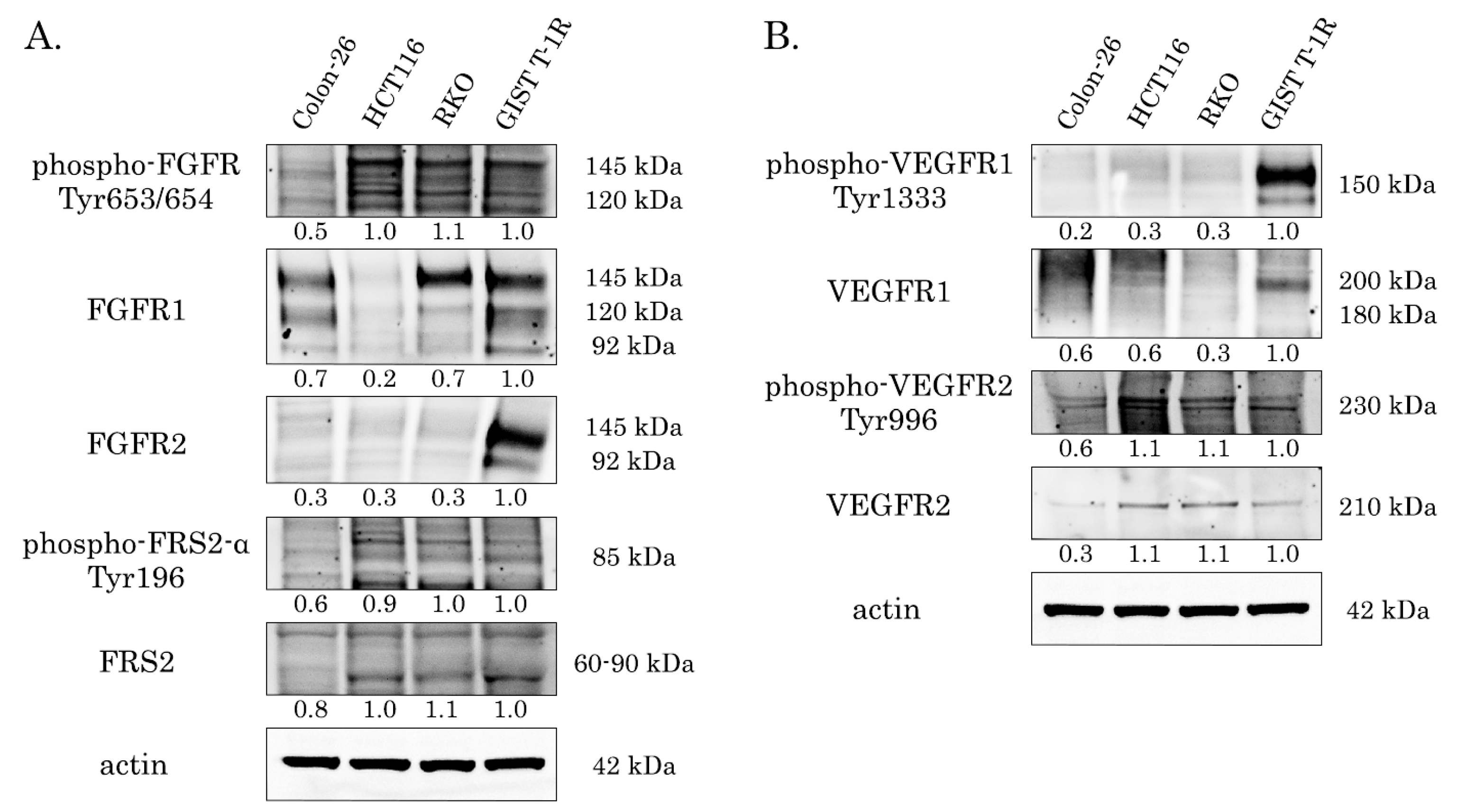 Preprints 226151 g002 Preprints 226151 g002