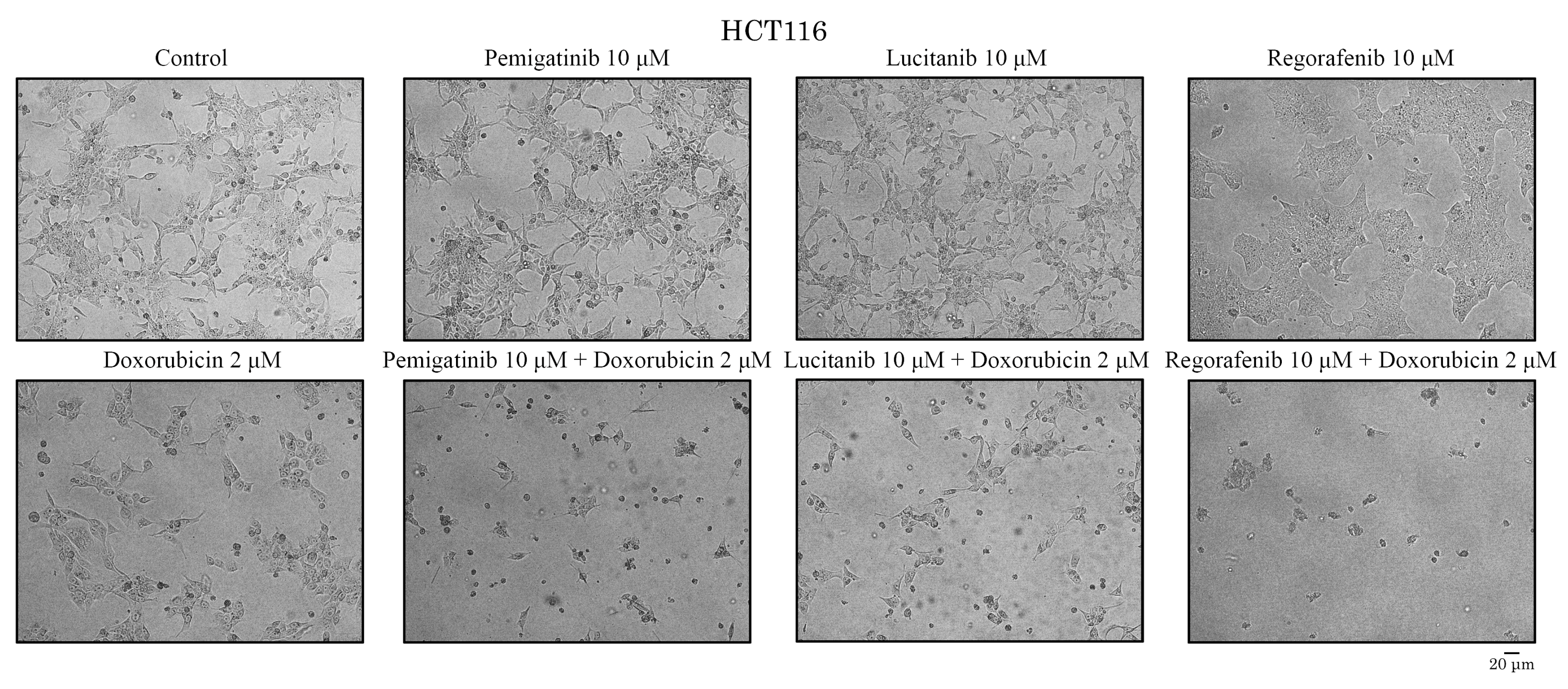 Preprints 226151 g003 Preprints 226151 g003