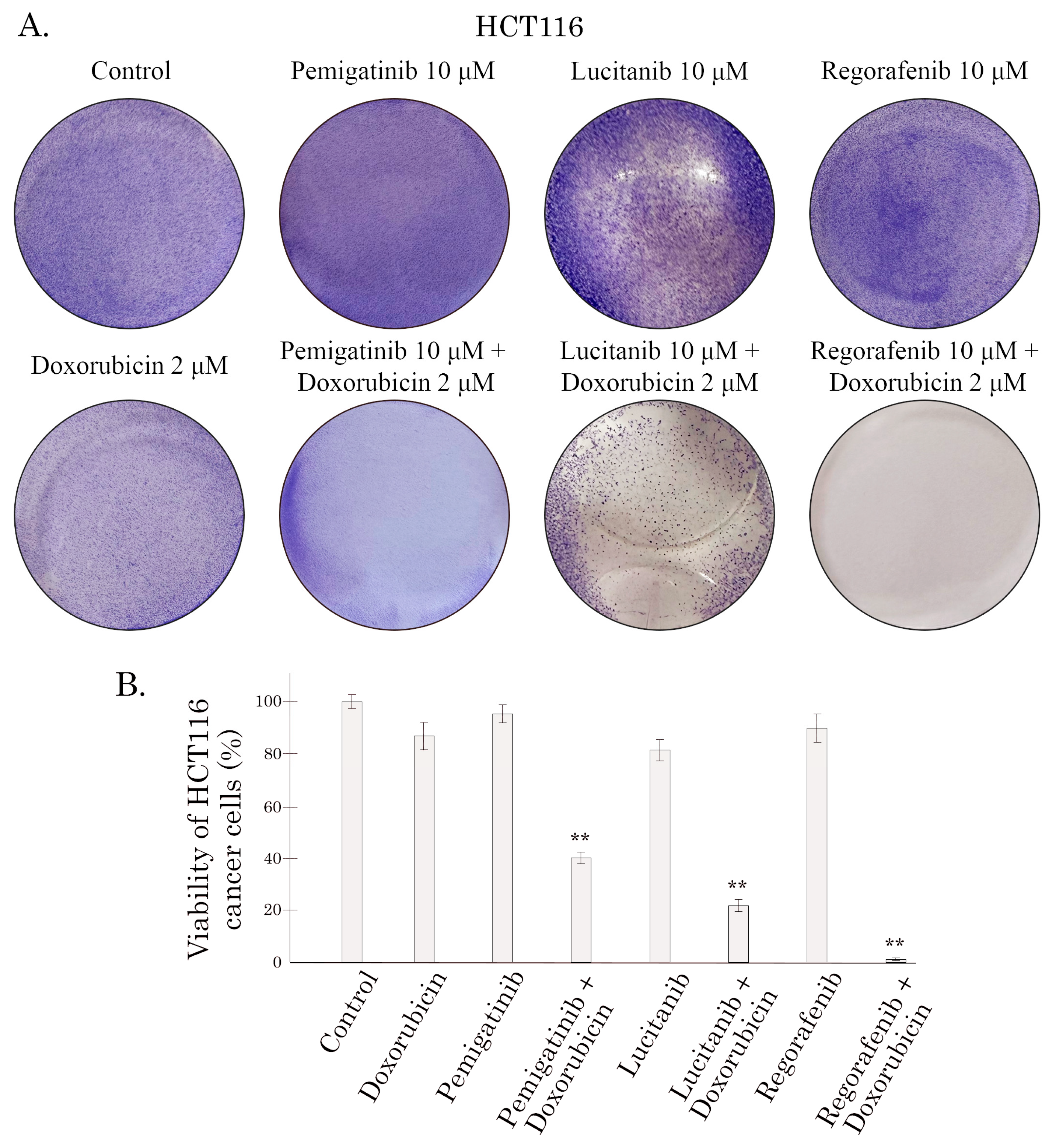 Preprints 226151 g004 Preprints 226151 g004