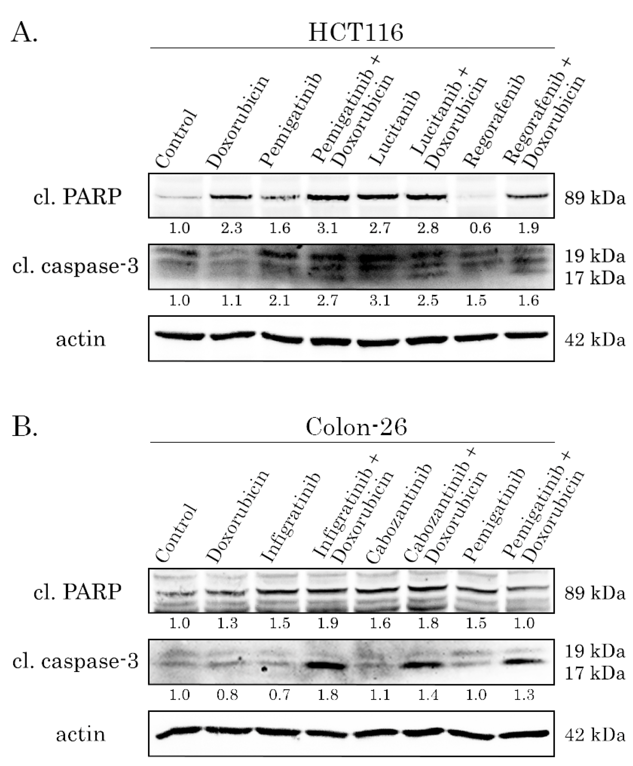 Preprints 226151 g006 Preprints 226151 g006