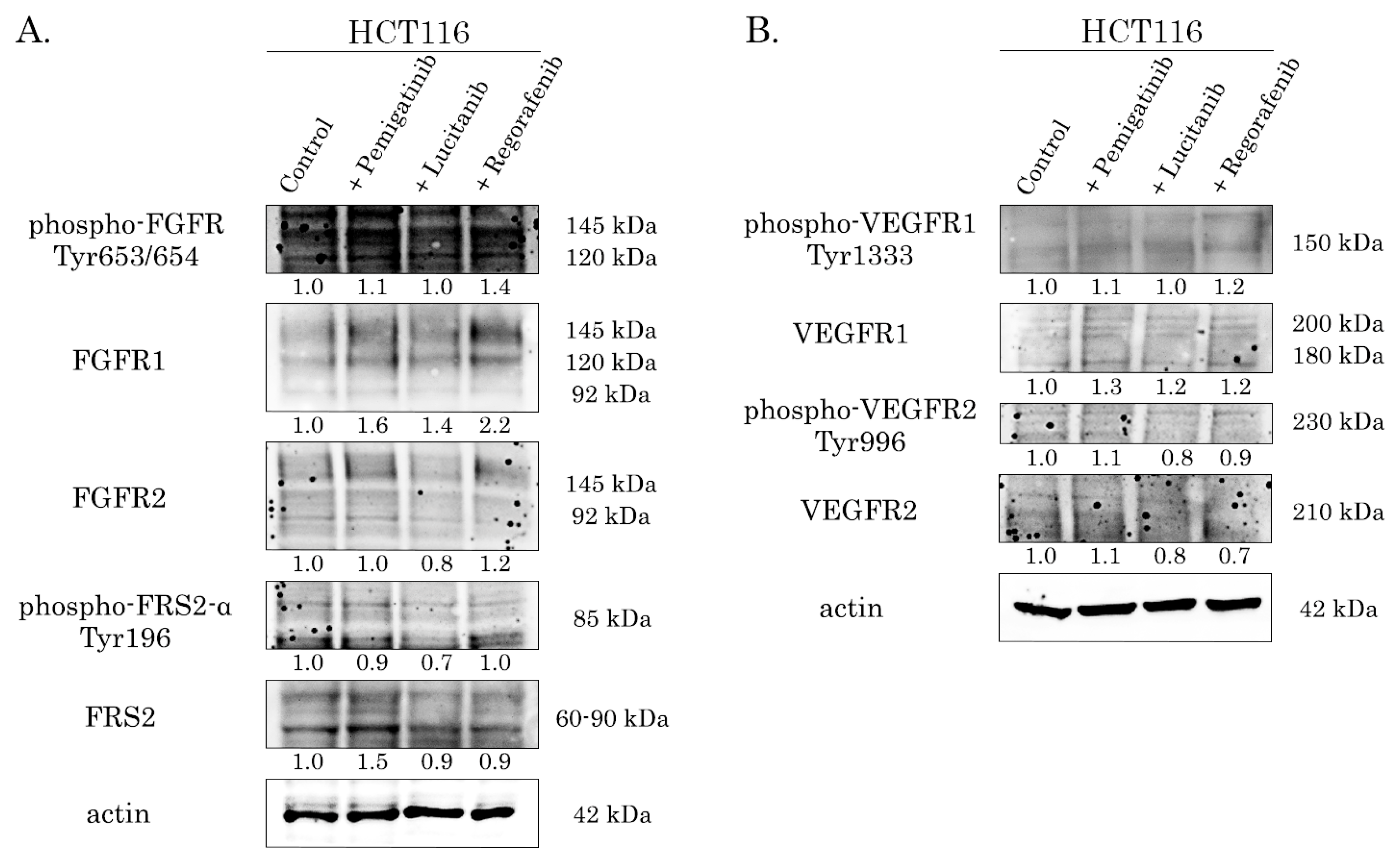 Preprints 226151 g008 Preprints 226151 g008