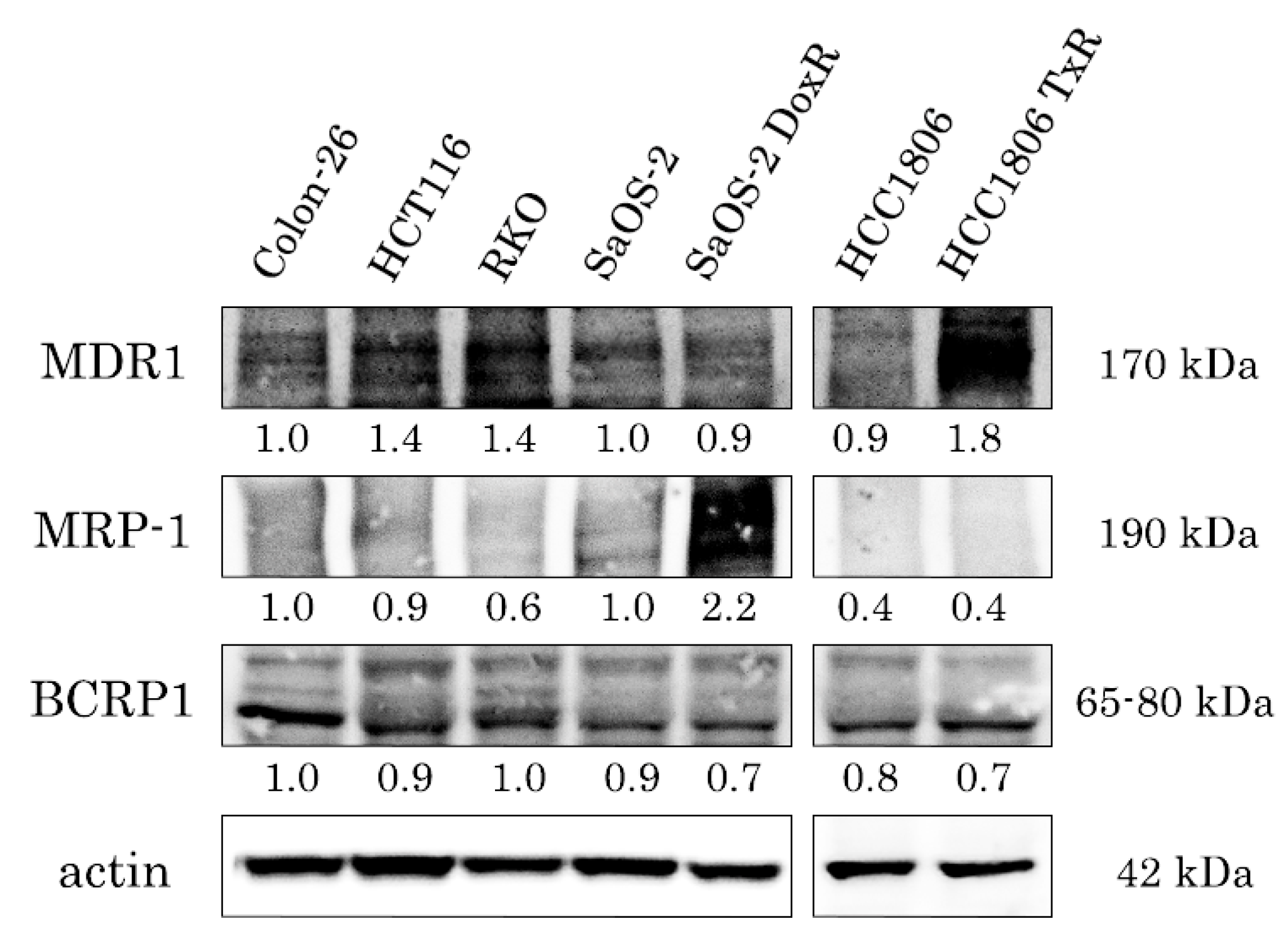 Preprints 226151 g009 Preprints 226151 g009