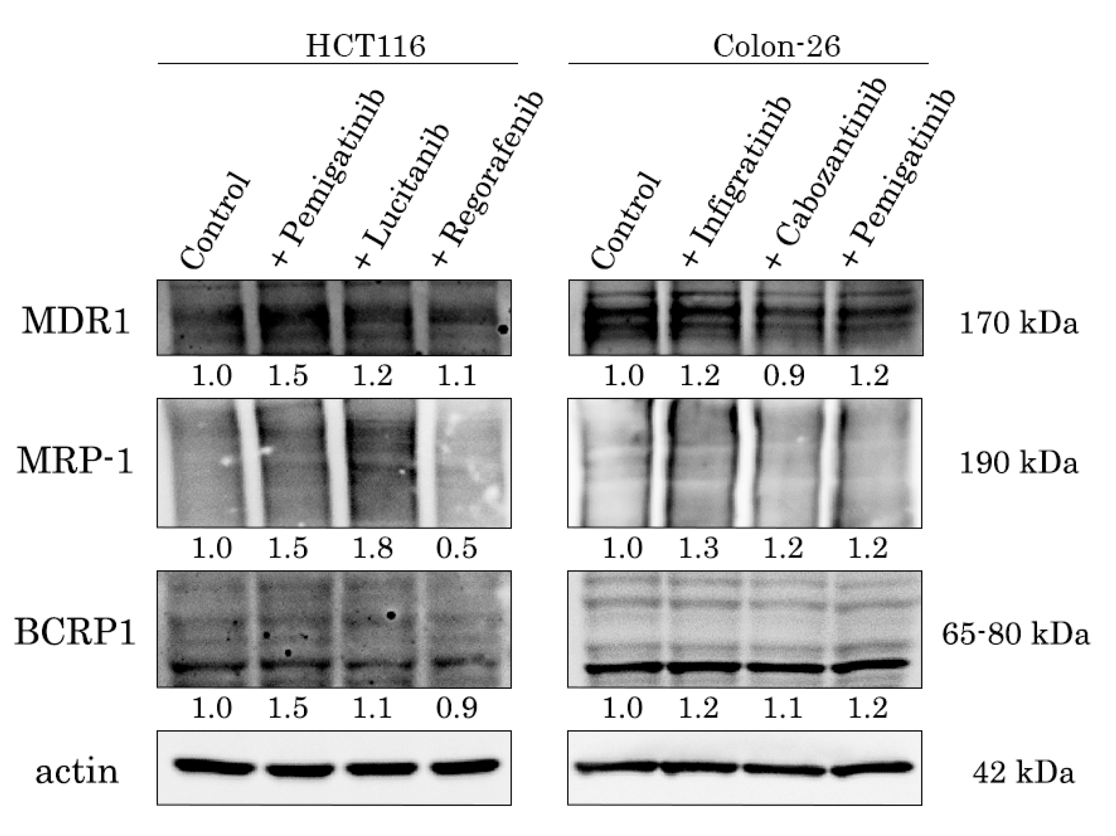 Preprints 226151 g010 Preprints 226151 g010