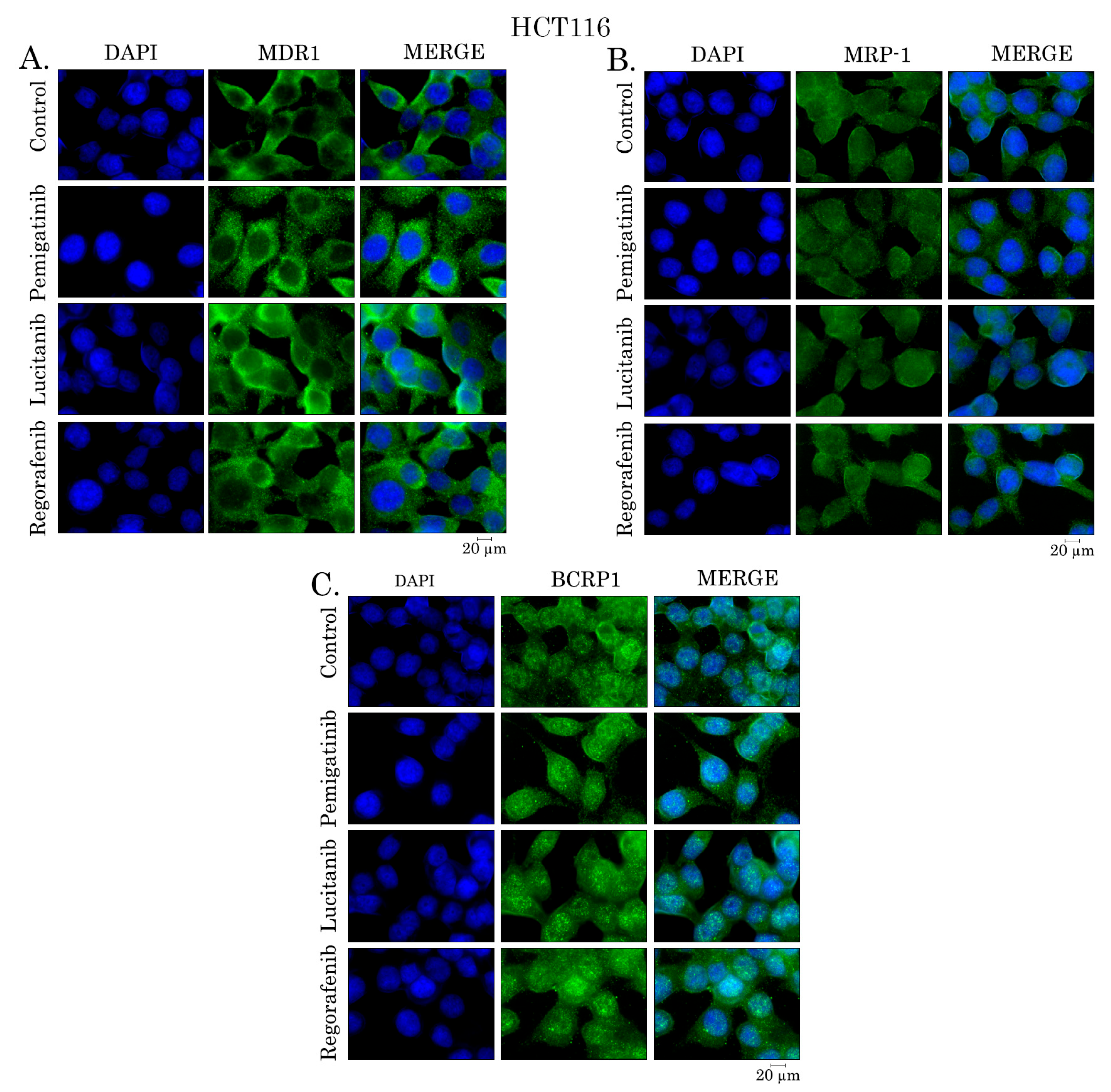 Preprints 226151 g011 Preprints 226151 g011