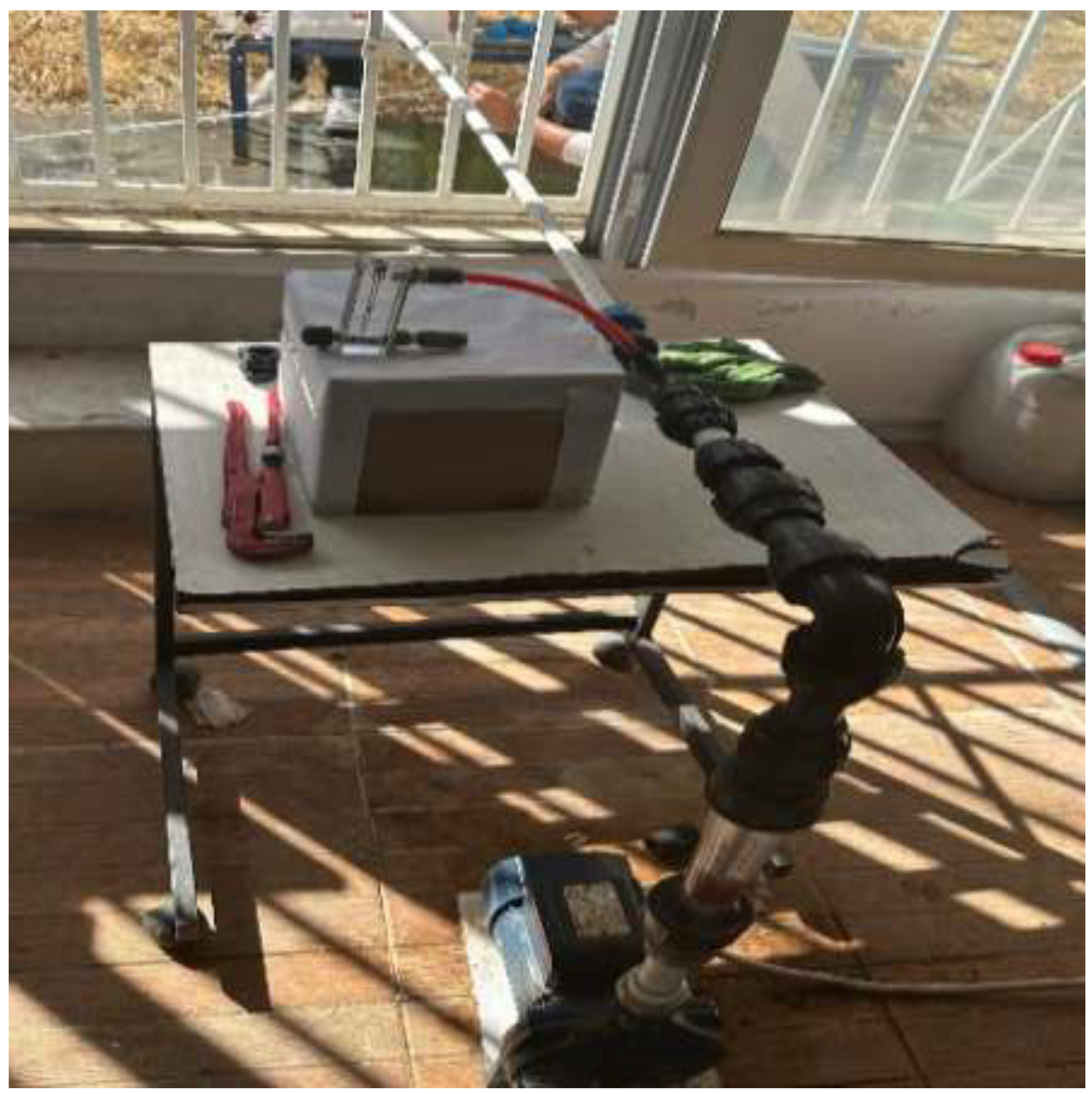 Preprints 140944 g002