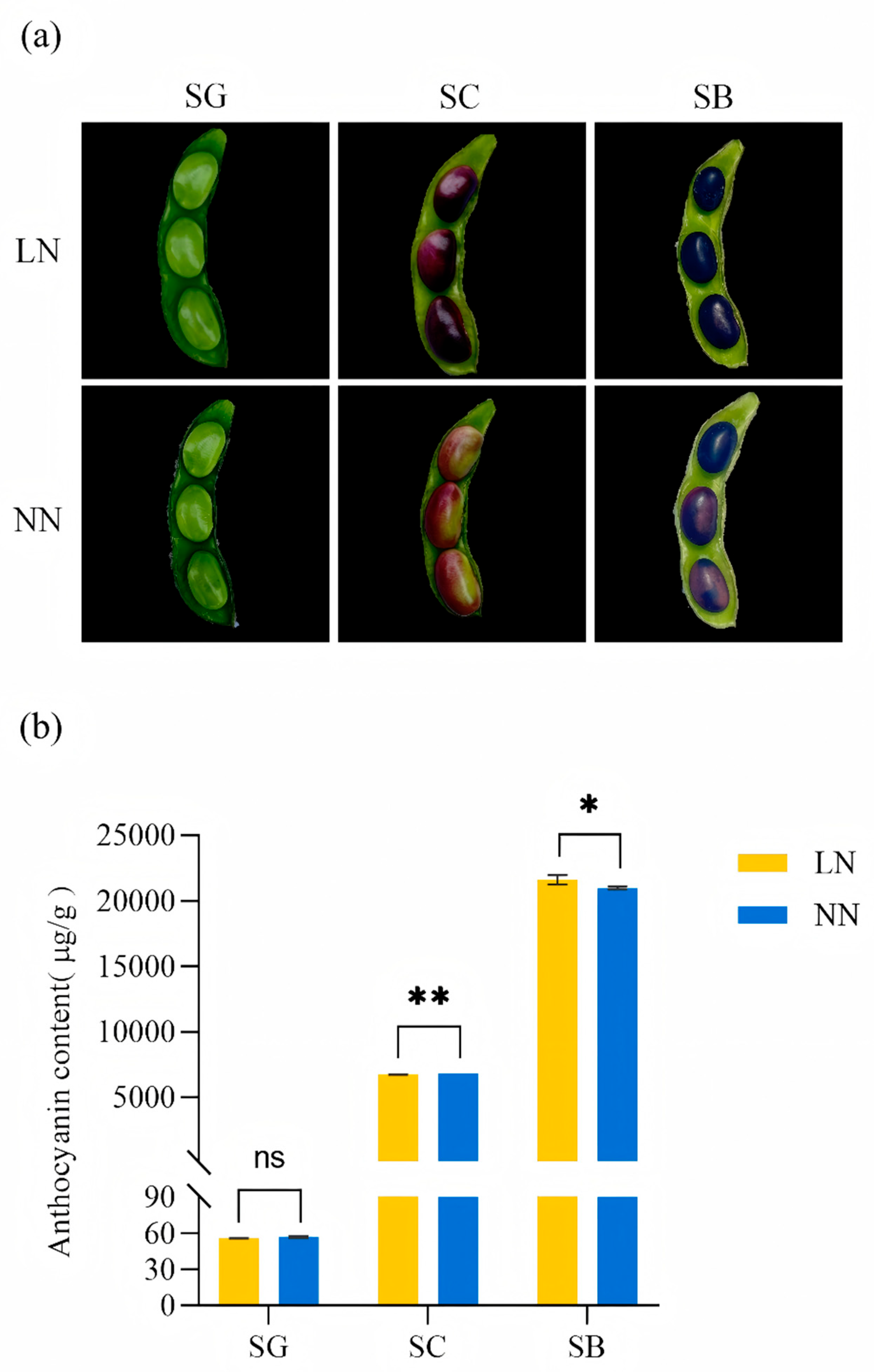 Preprints 174426 g001