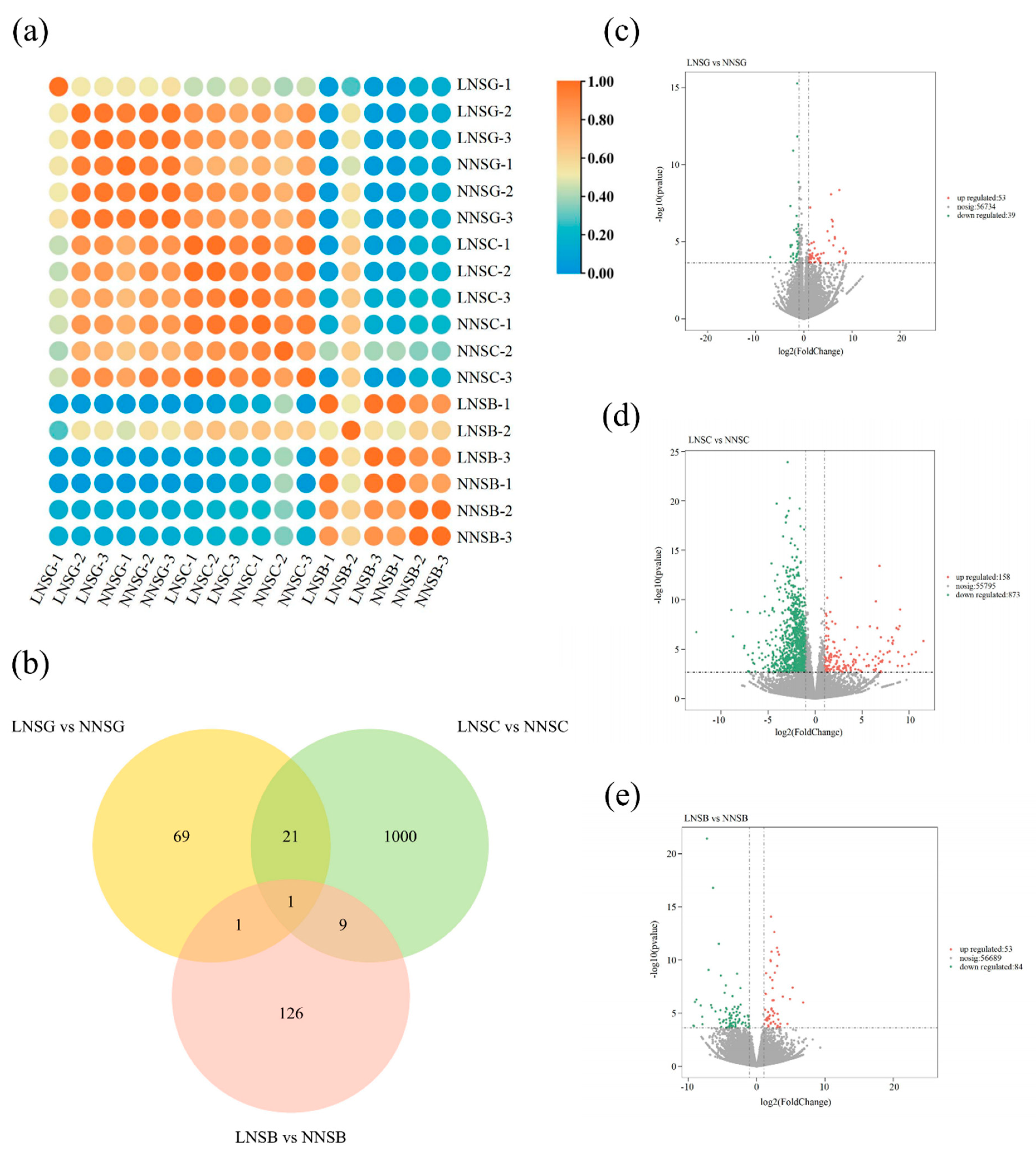 Preprints 174426 g004