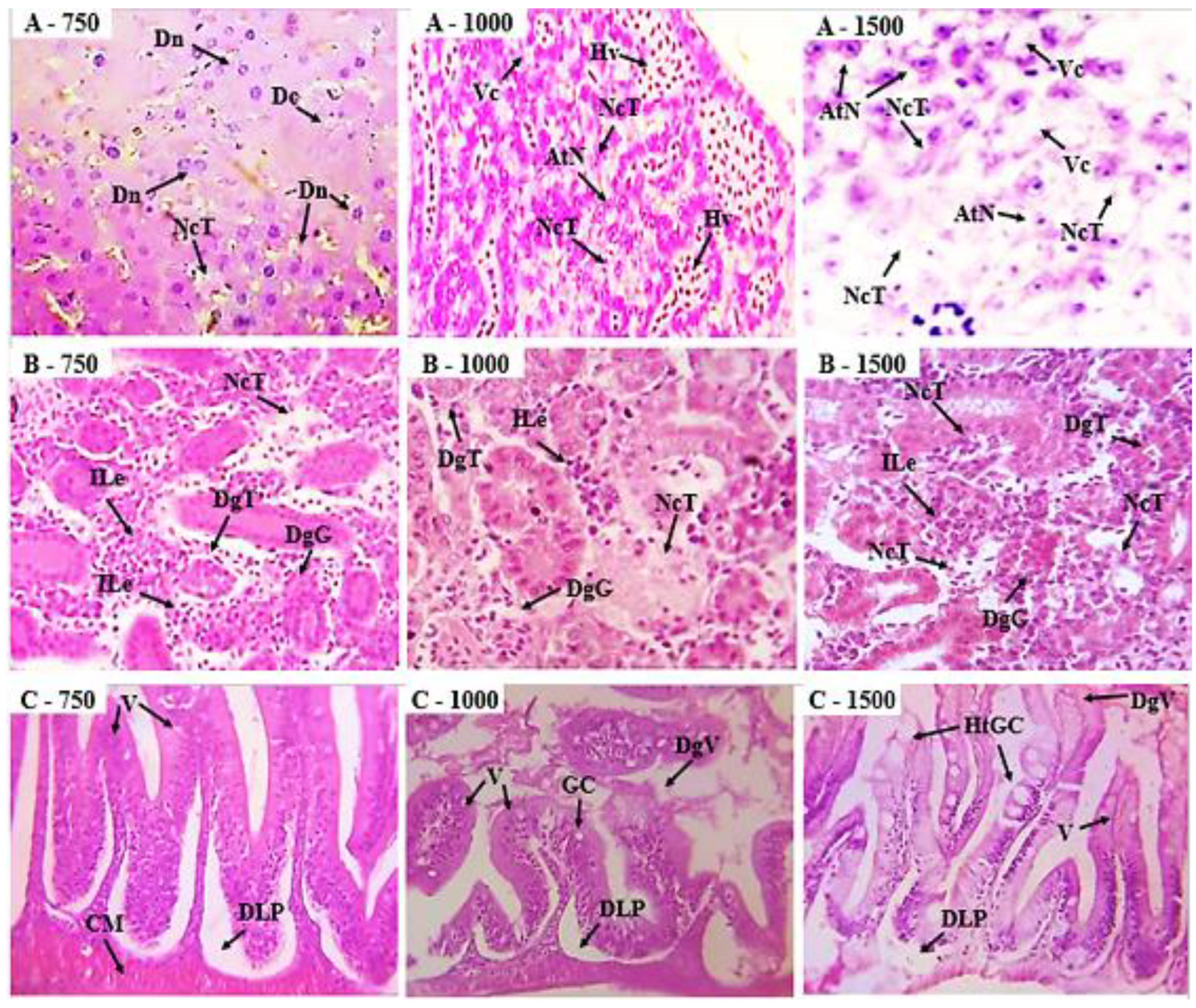 Preprints 154352 g006