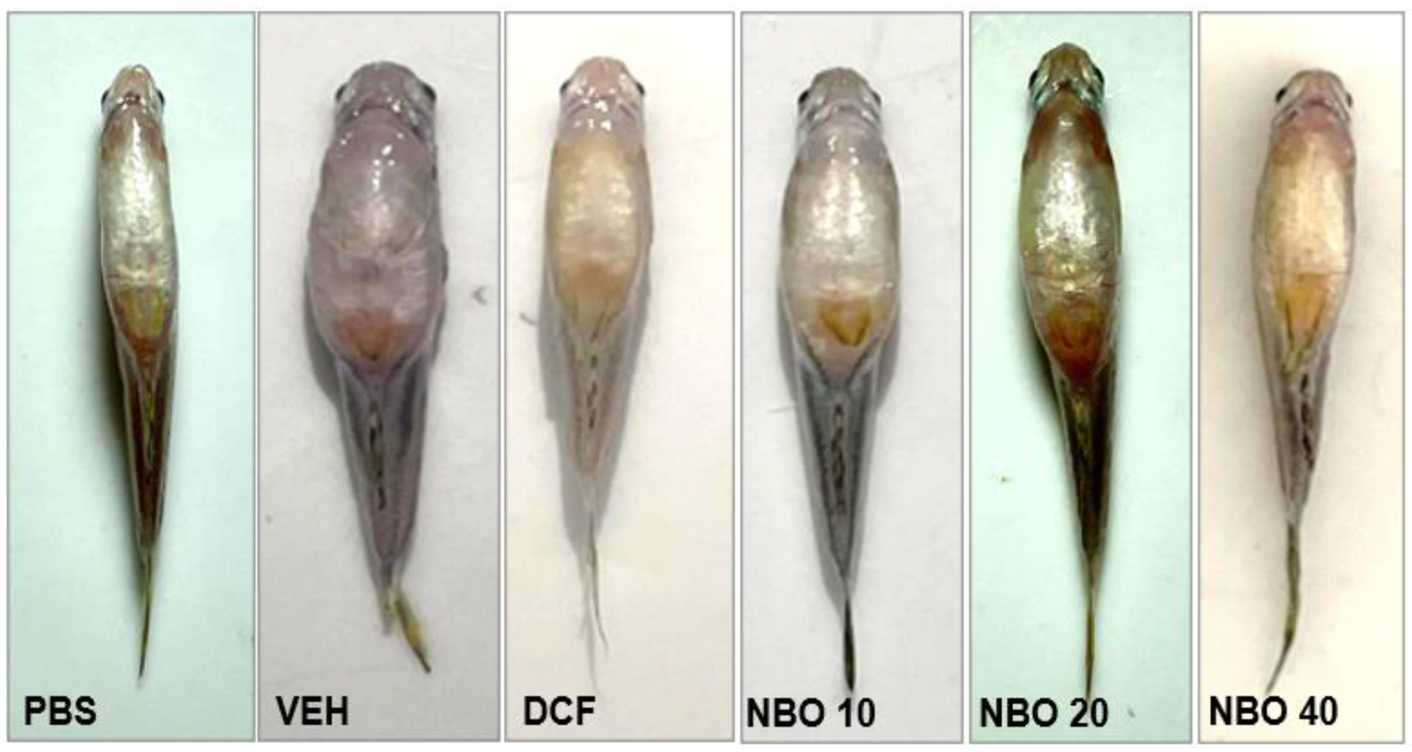 Preprints 154352 g009