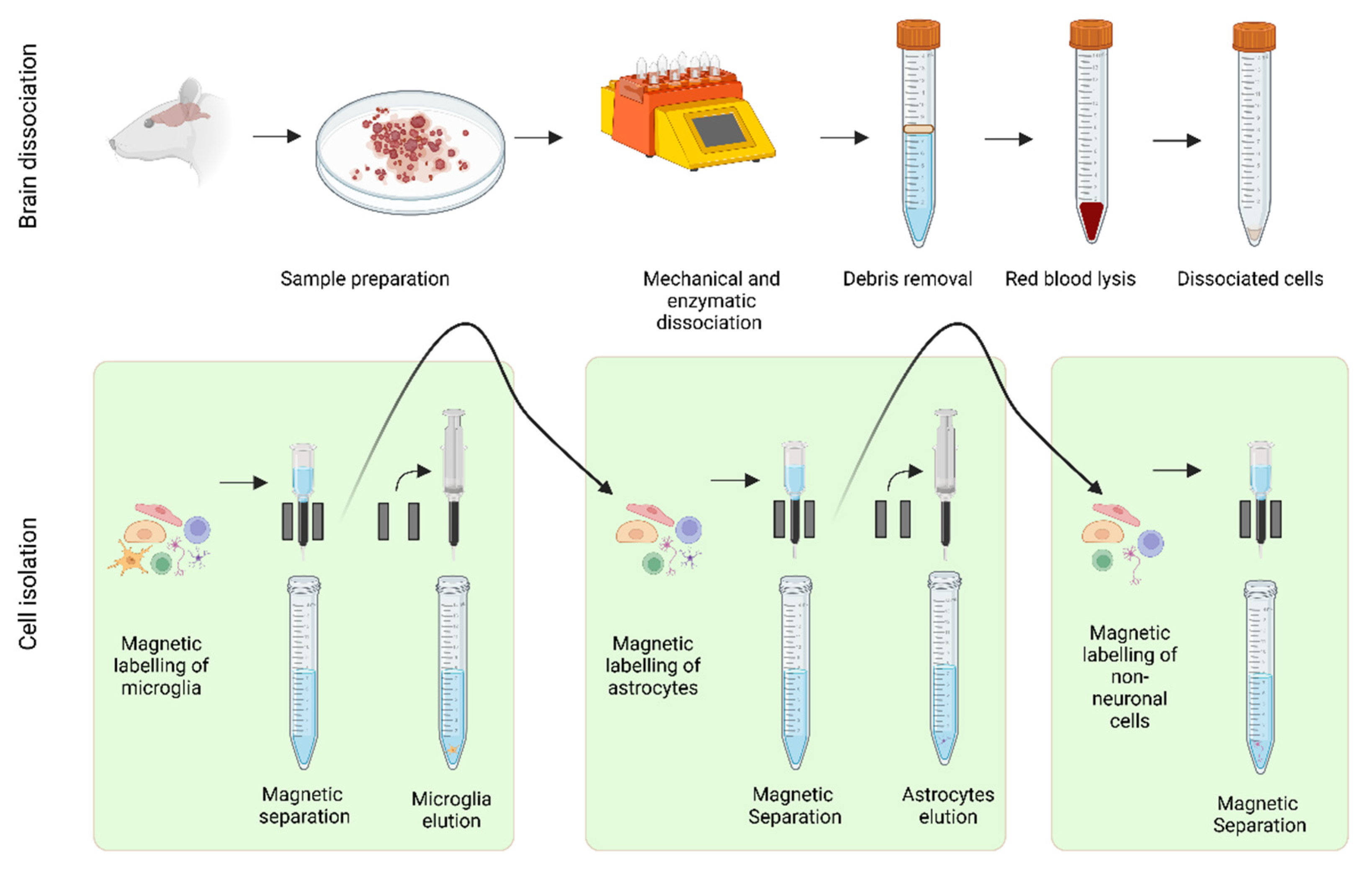 Preprints 201069 g001