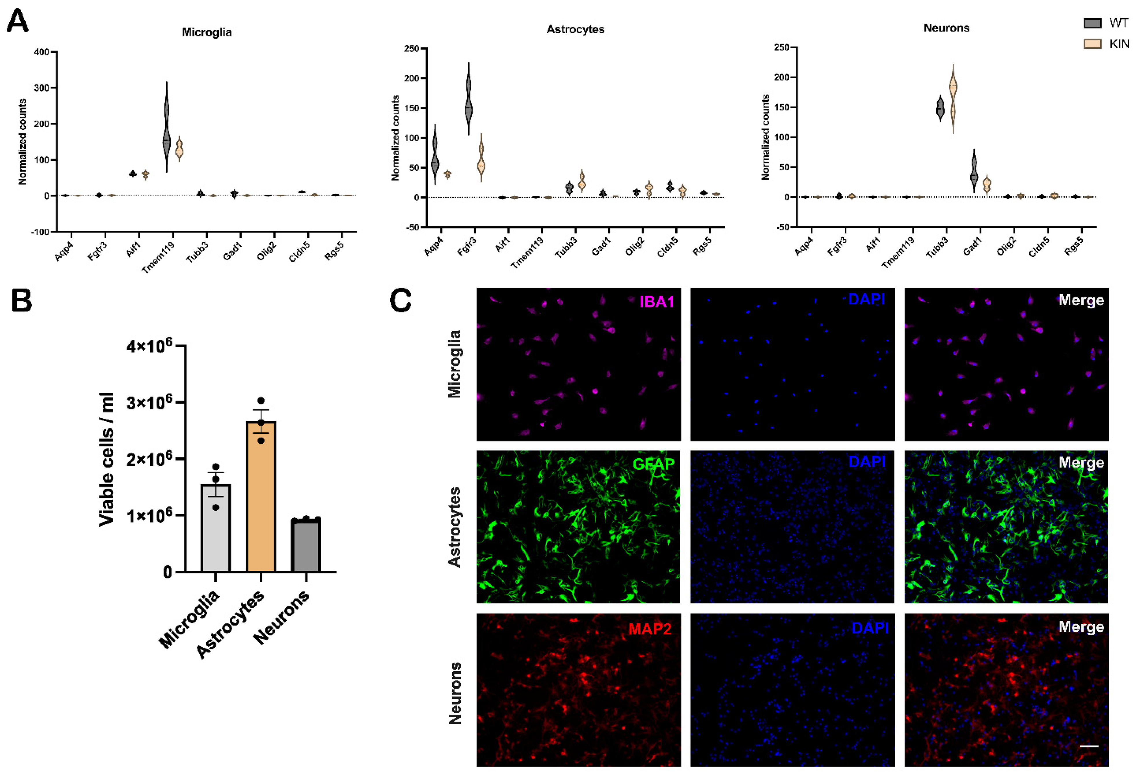 Preprints 201069 g003