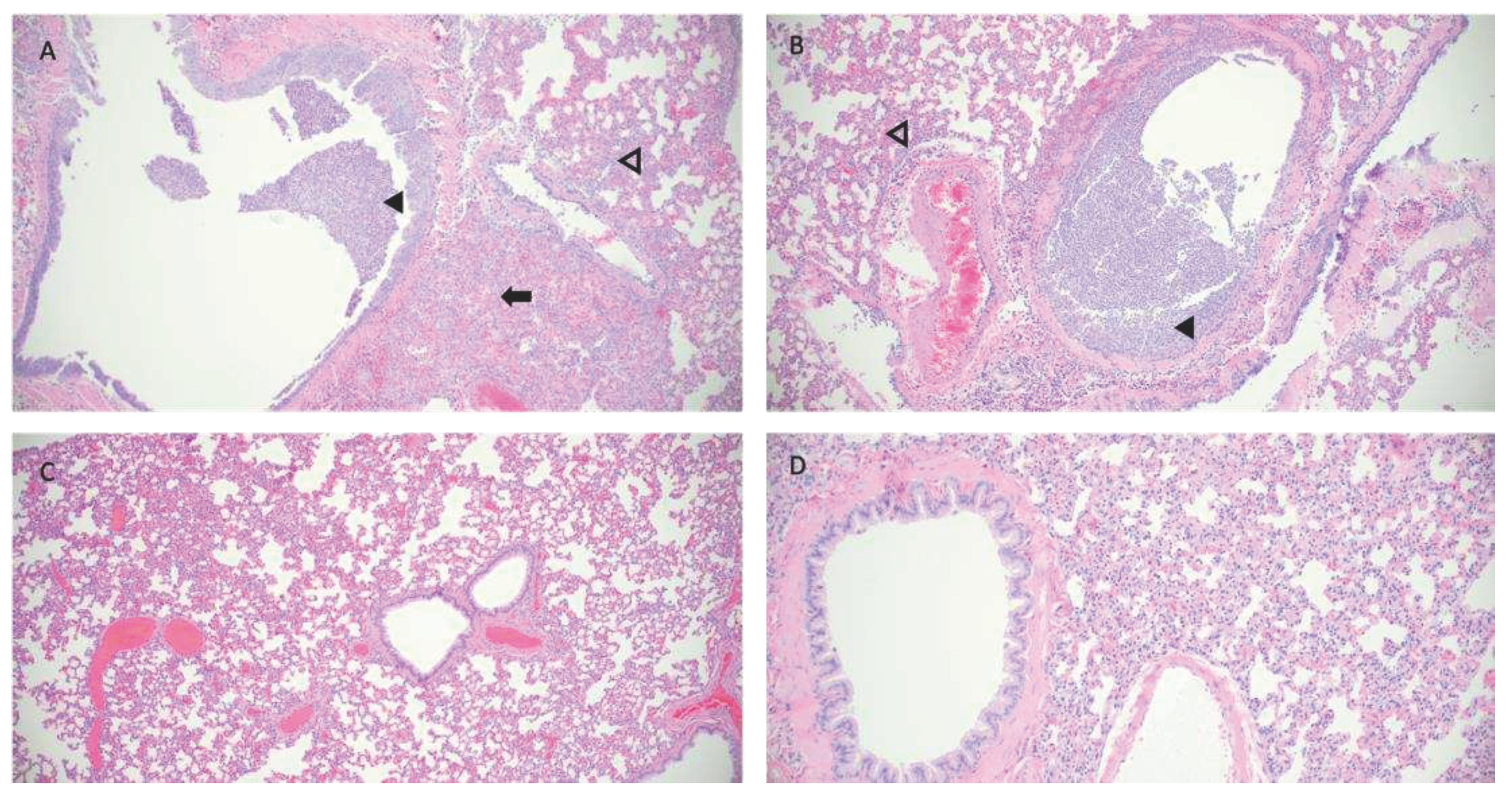 Preprints 91645 g002