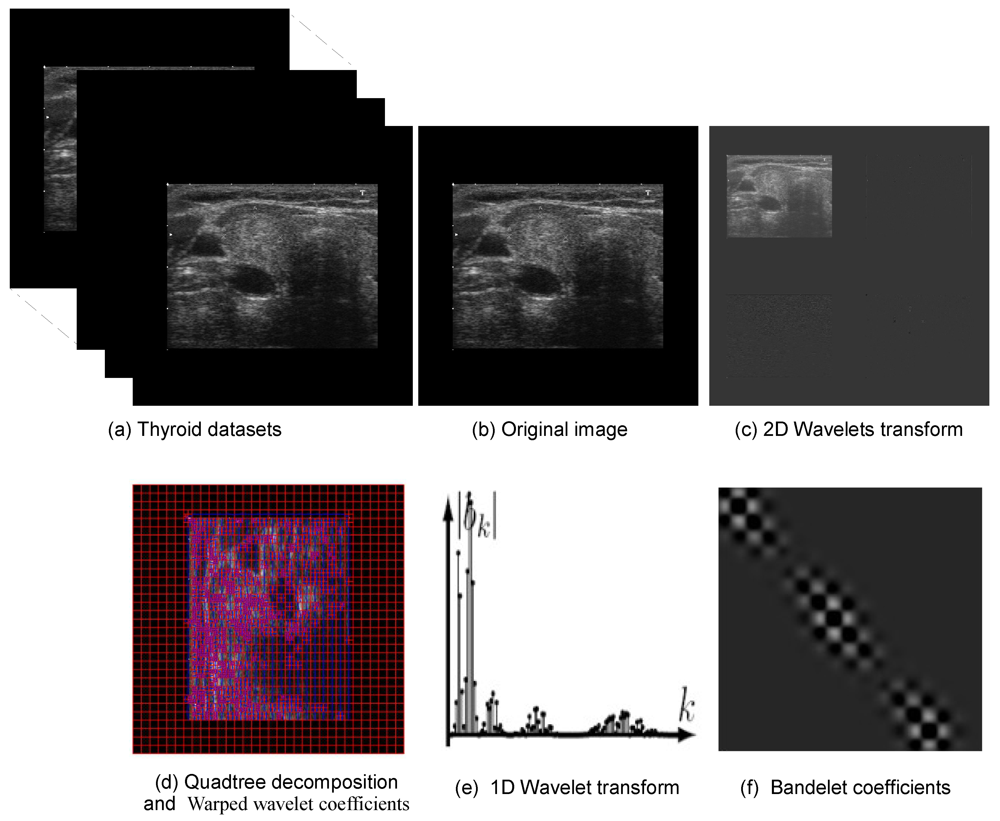 Preprints 190274 g003