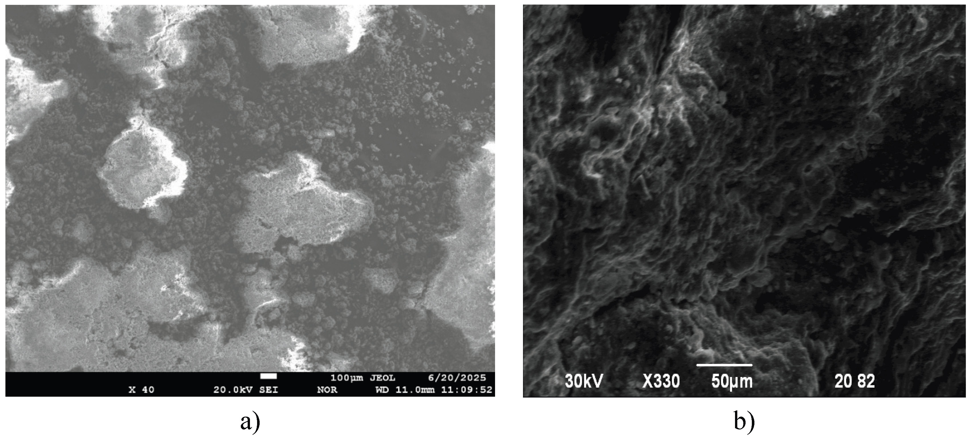 Preprints 189837 g001