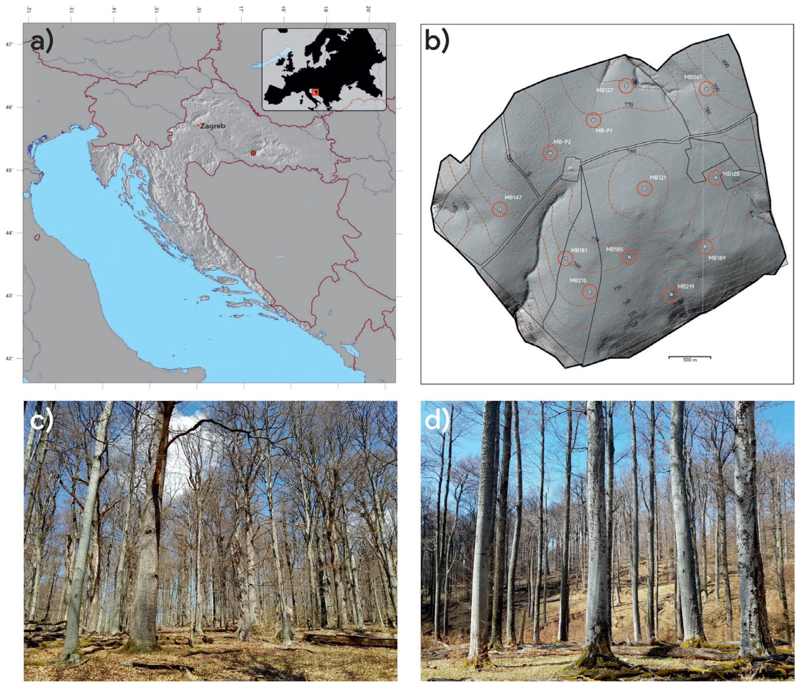 Preprints 207753 g001 Preprints 207753 g001