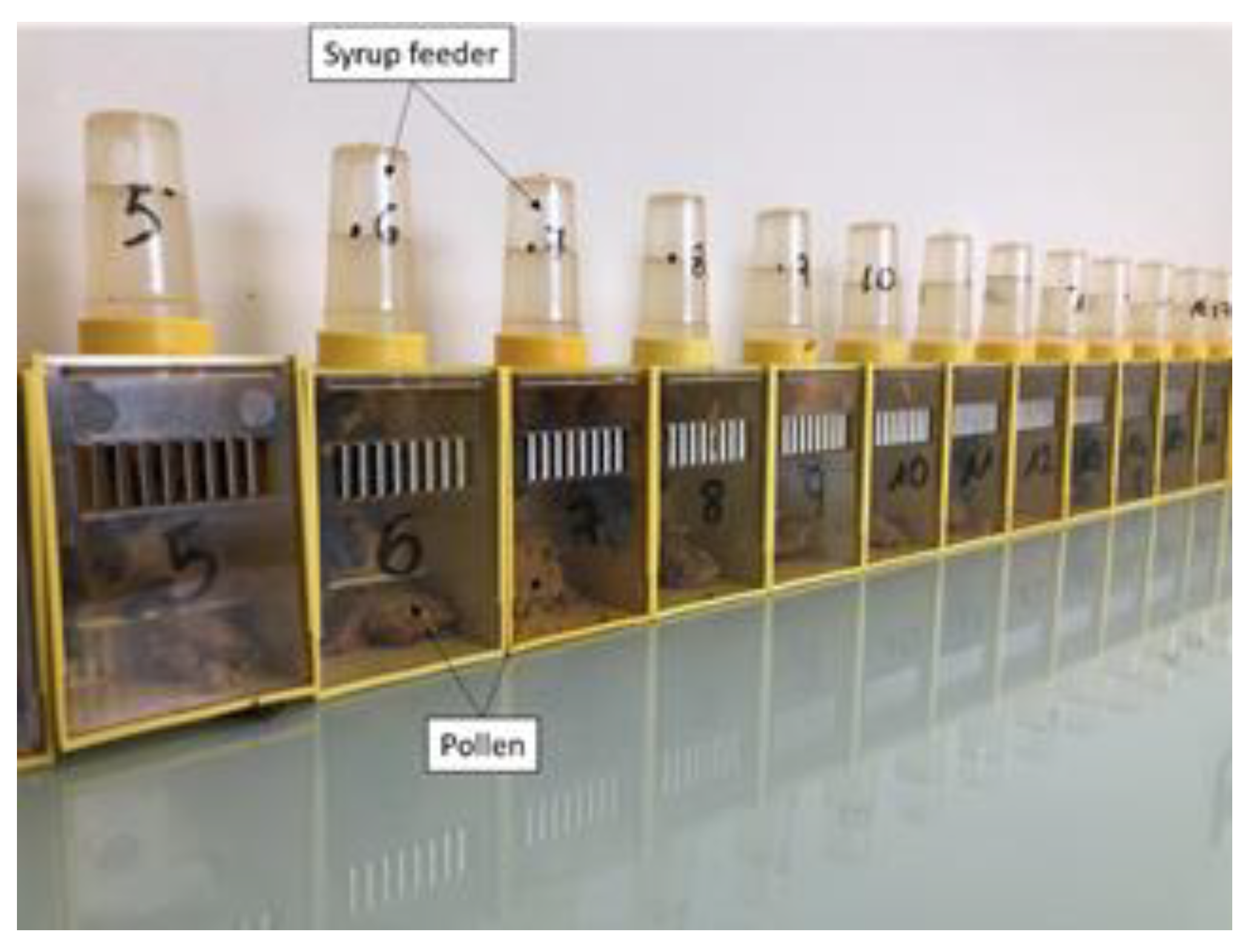 Preprints 86964 g001