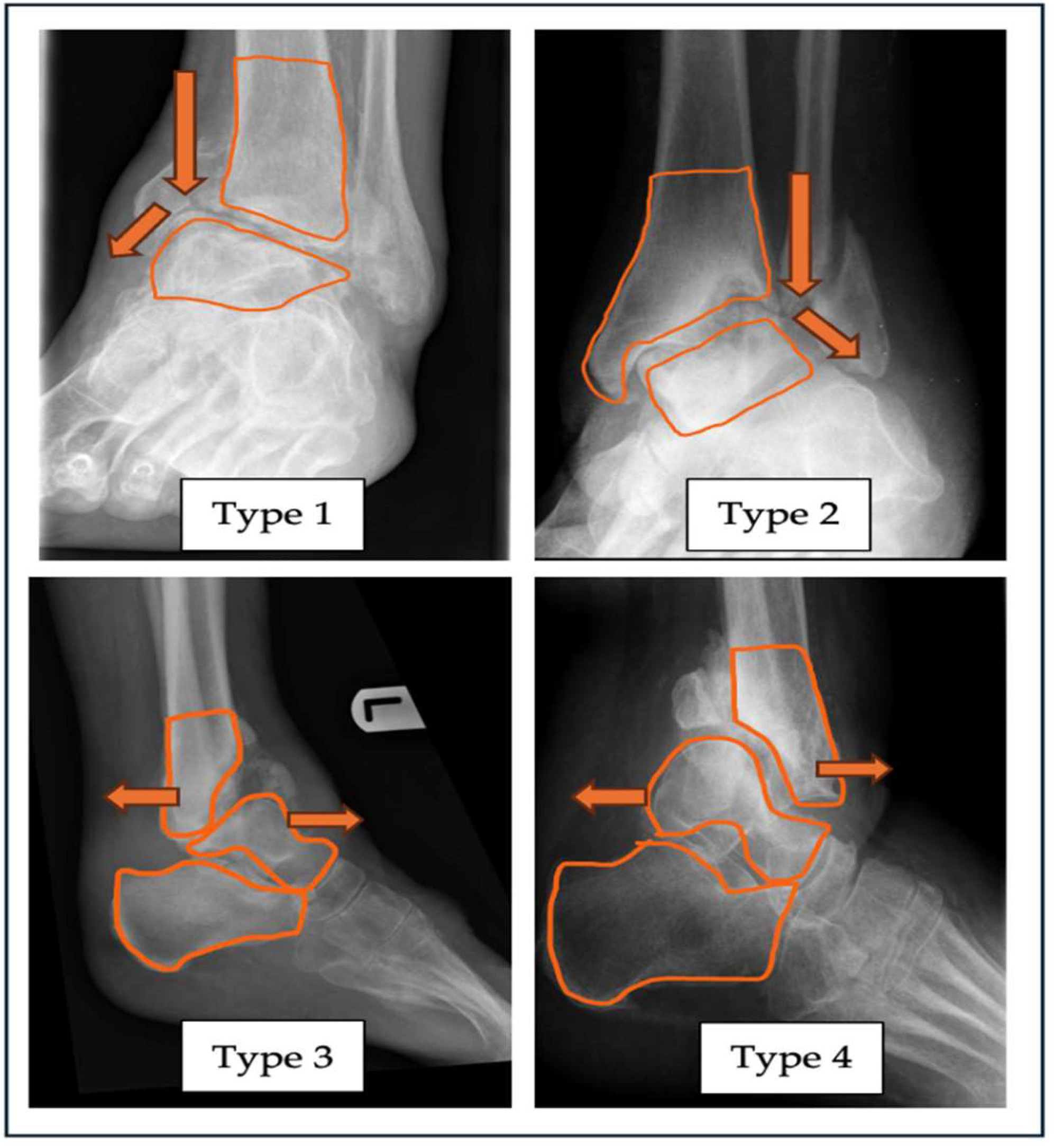Preprints 143217 g001