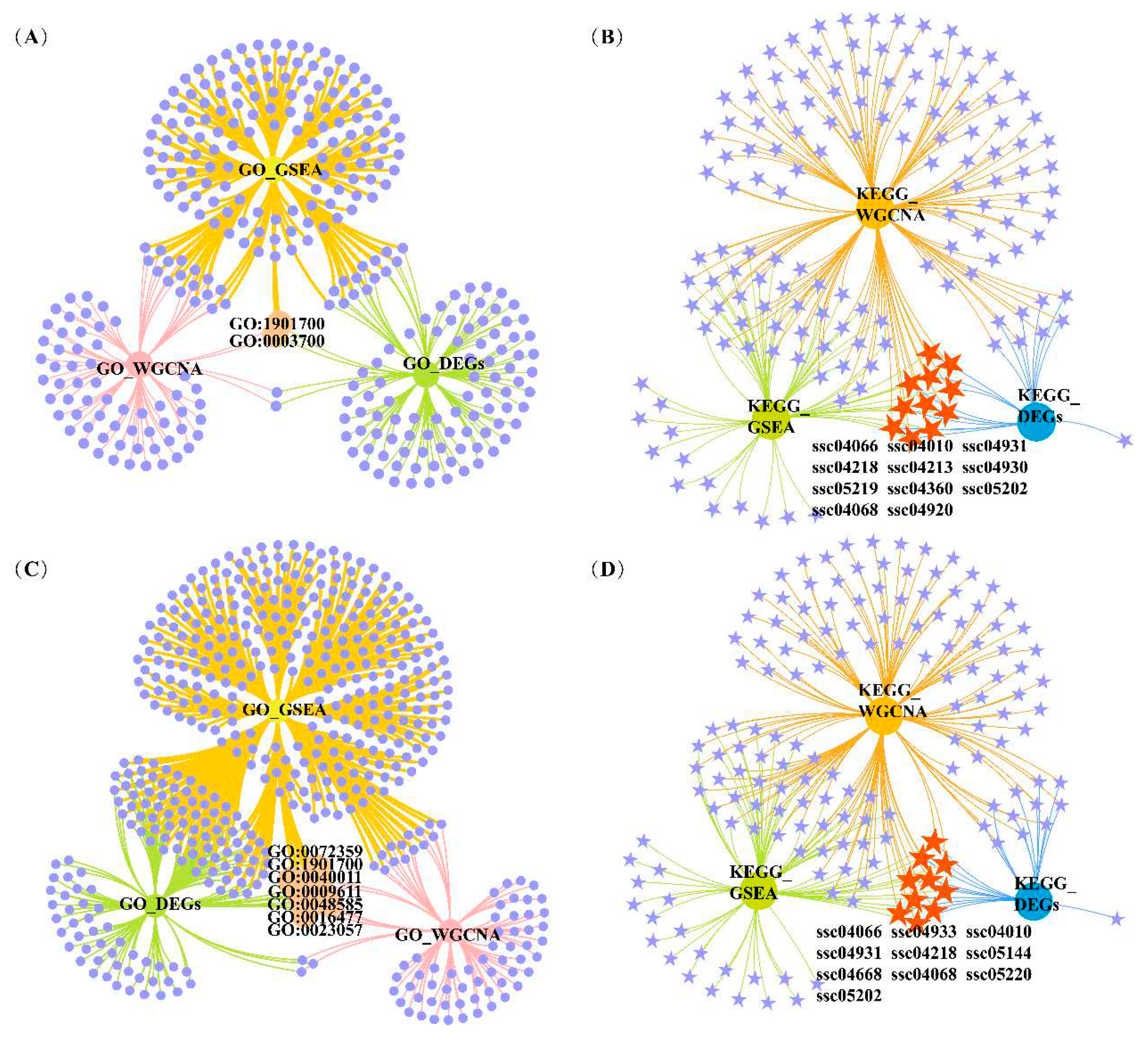 Preprints 84528 g006