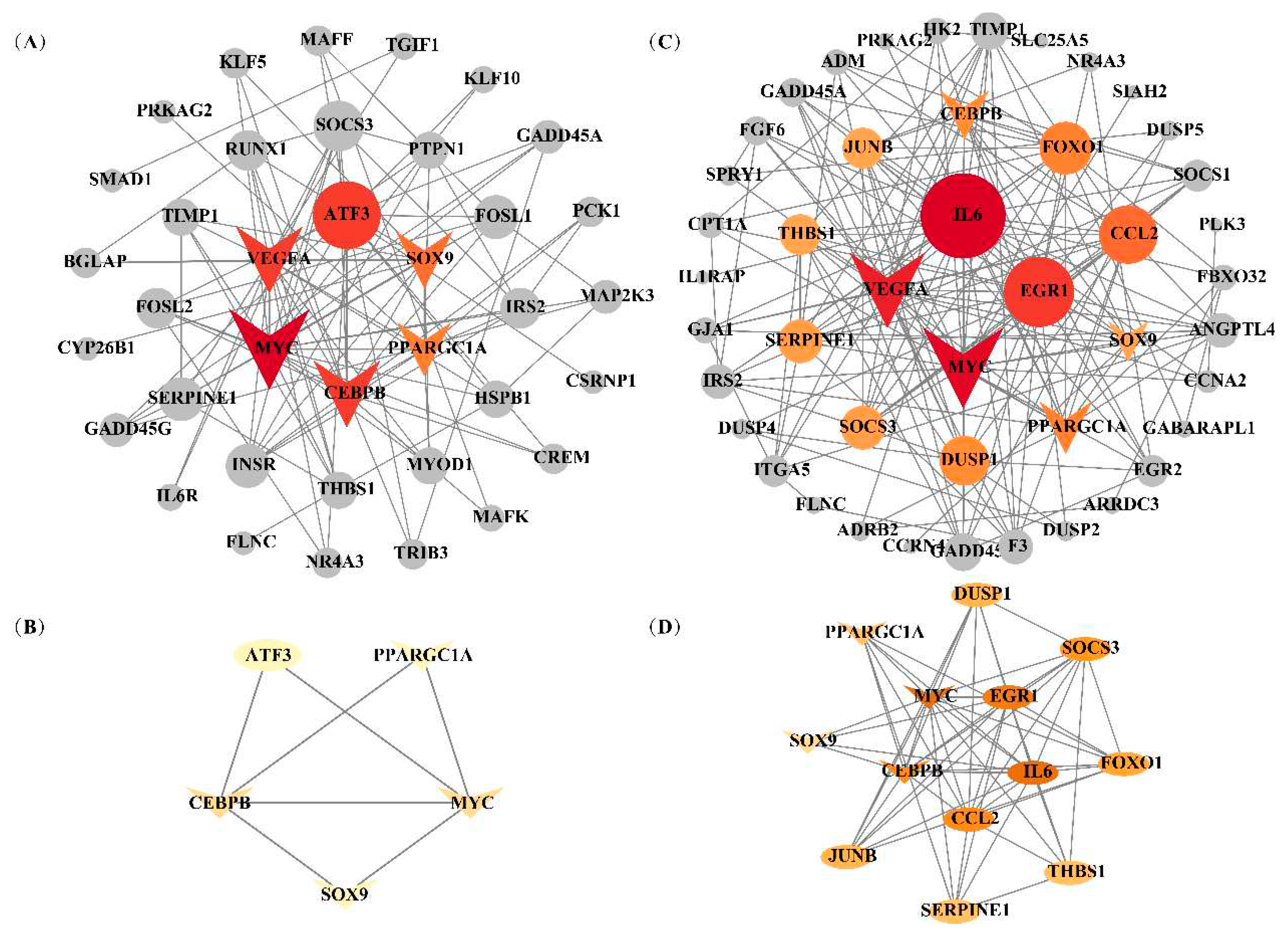 Preprints 84528 g007