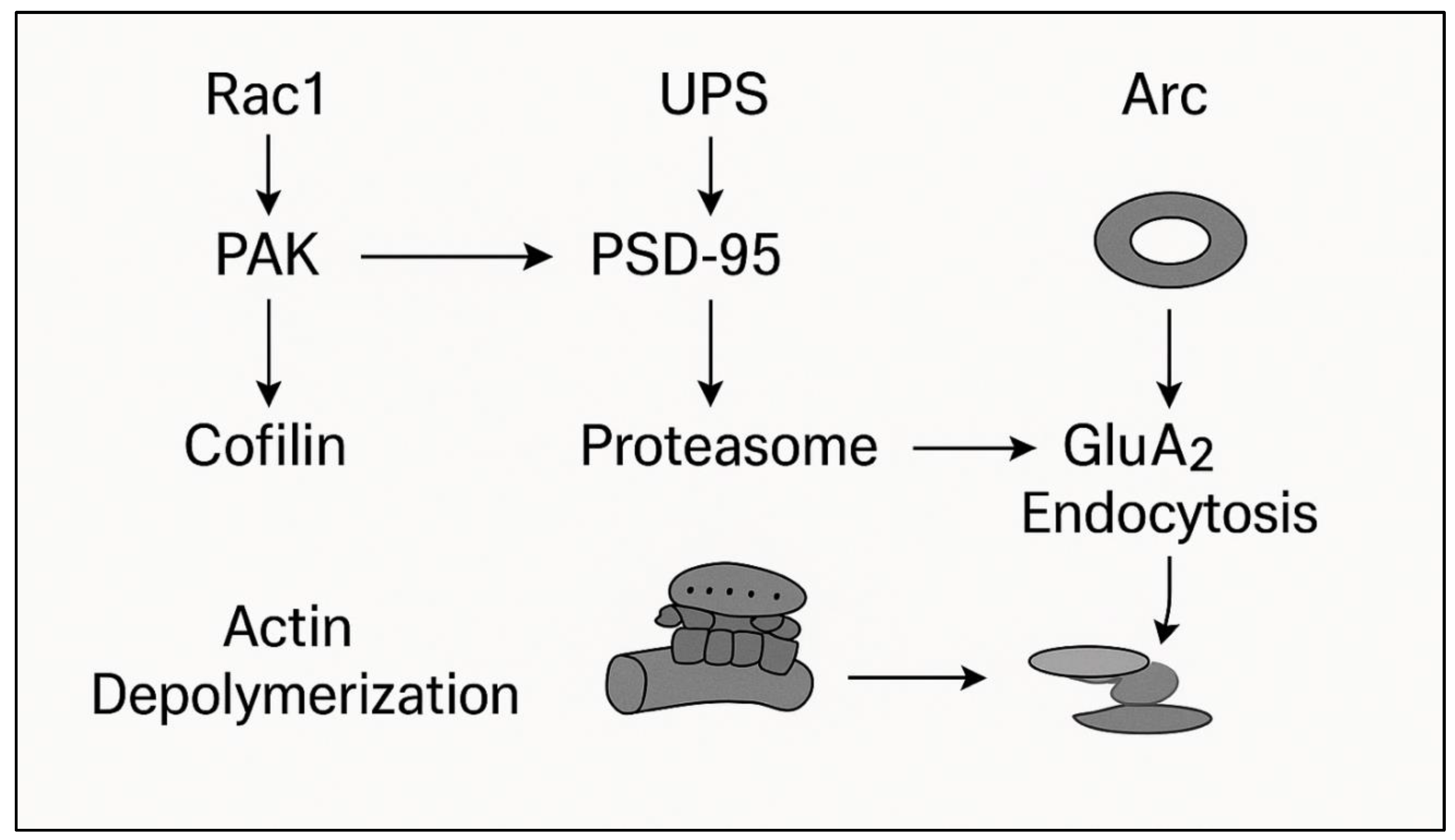 Preprints 189695 g001