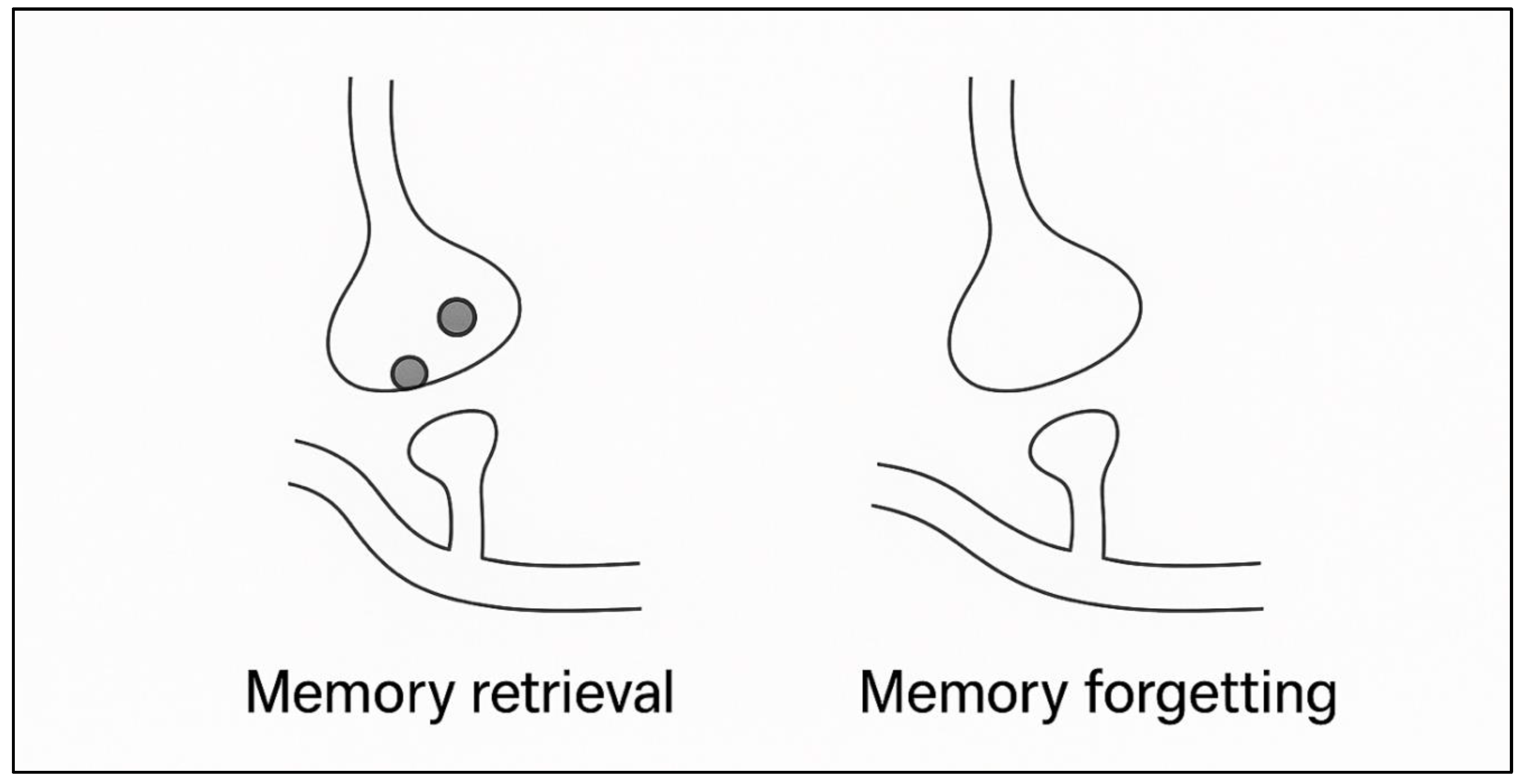Preprints 189695 g002