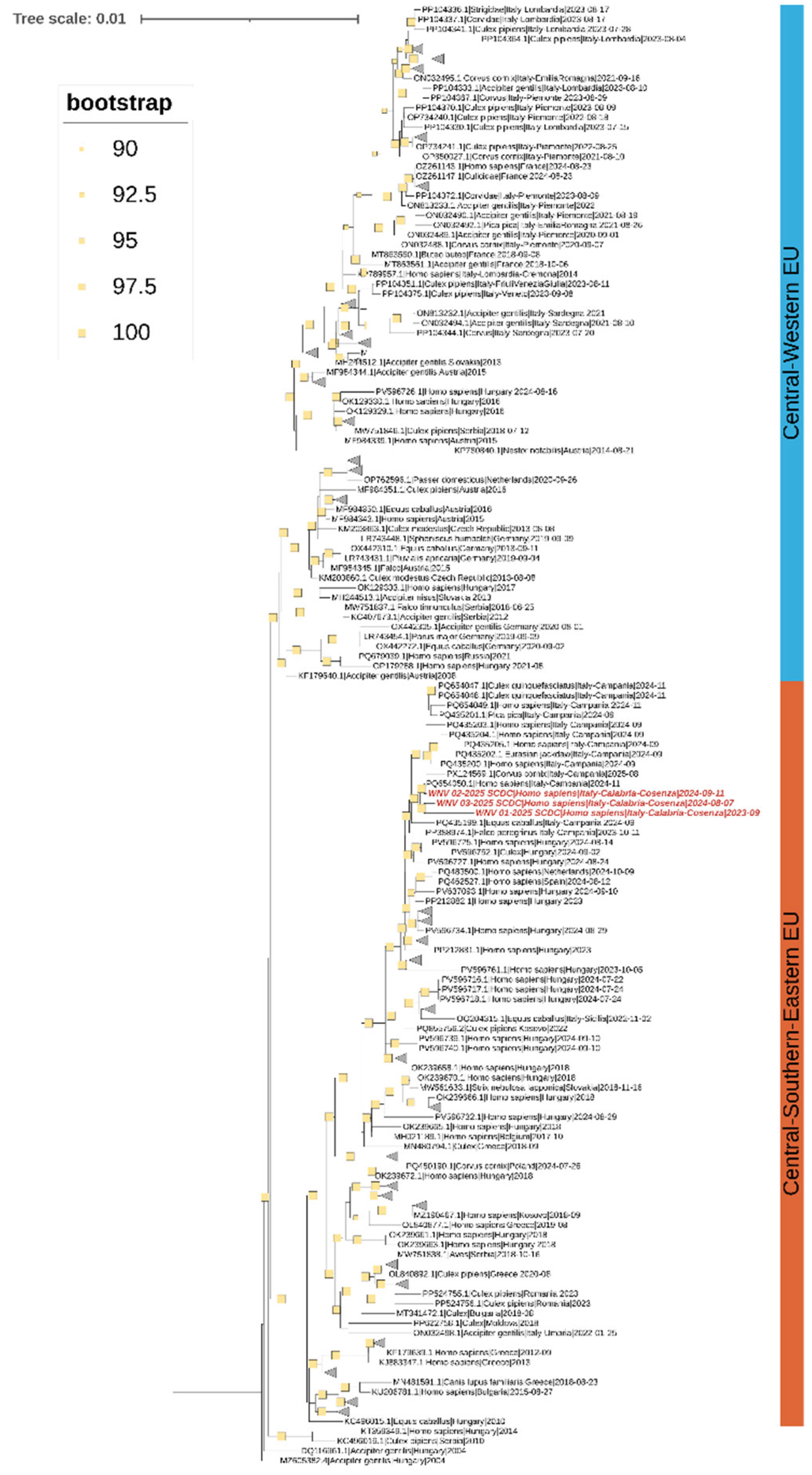 Preprints 189857 g001