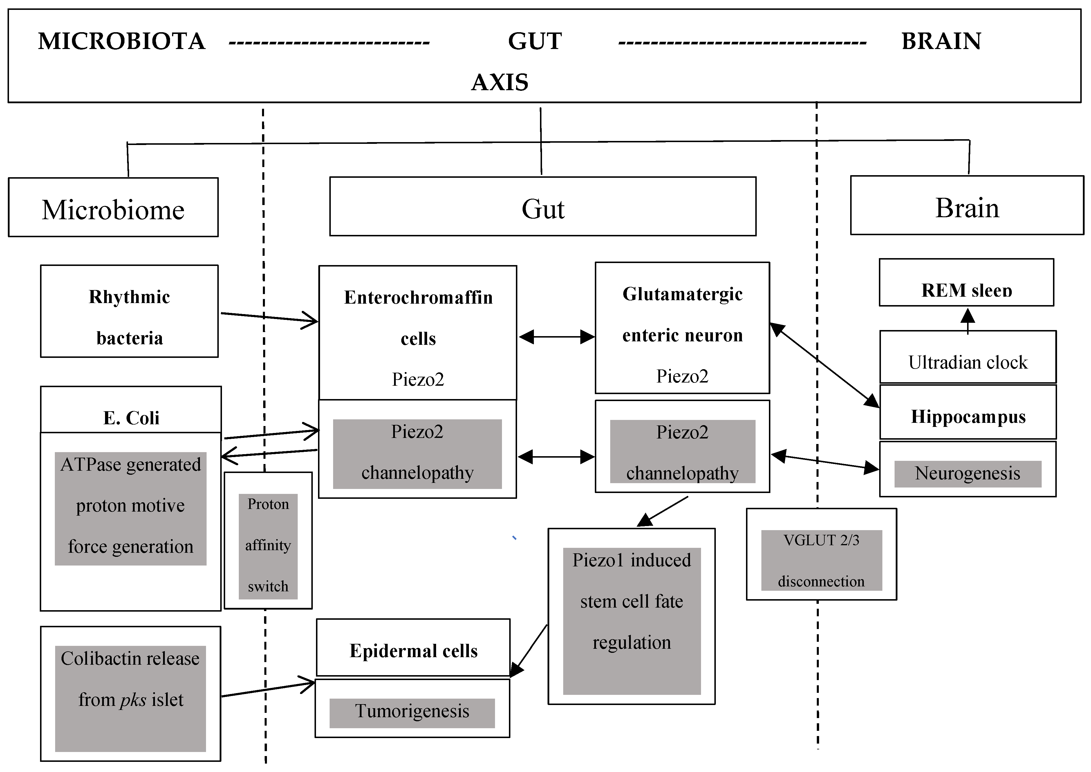 Preprints 168480 g001