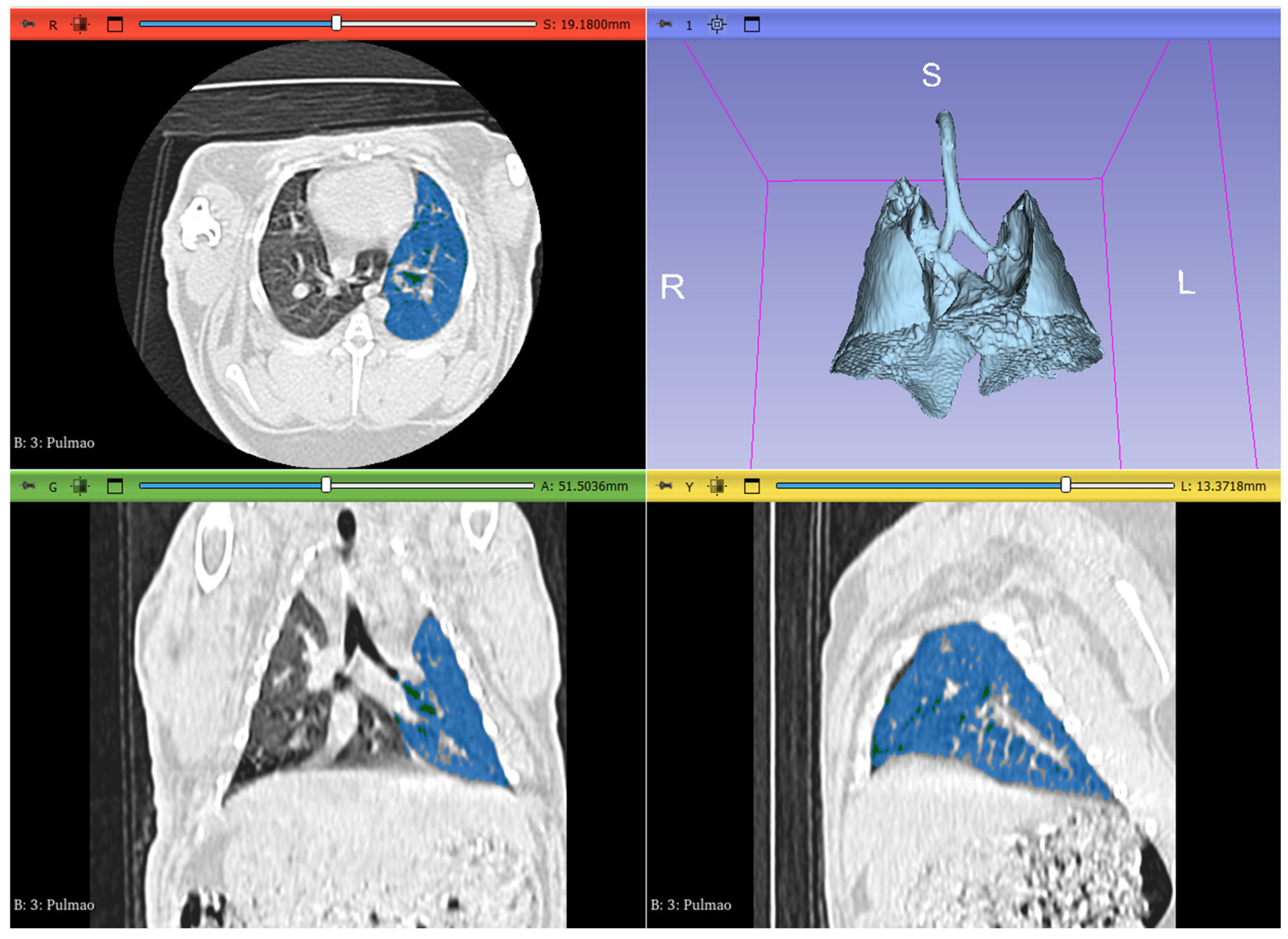Preprints 121840 g001