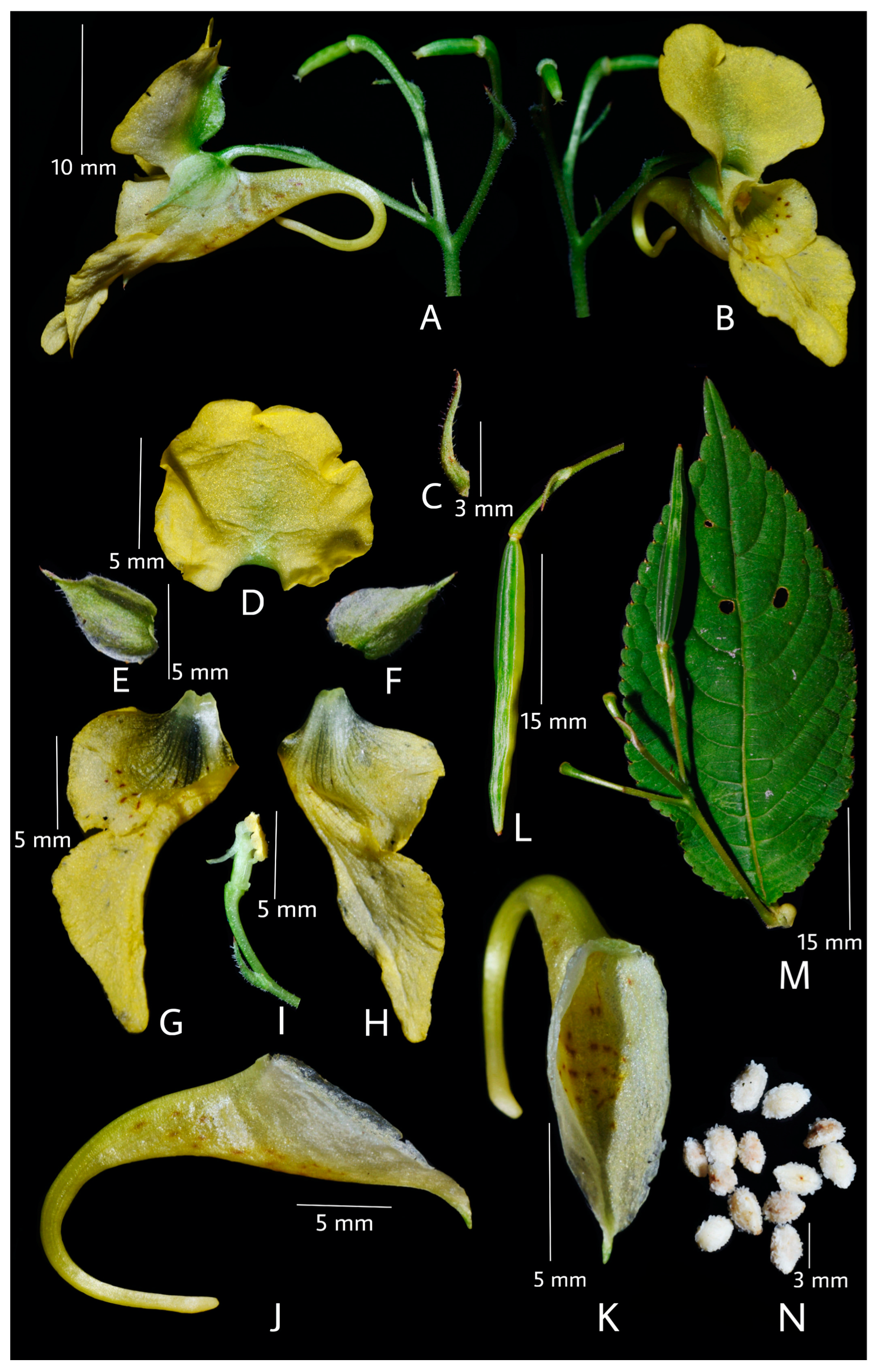 Preprints 149372 g001