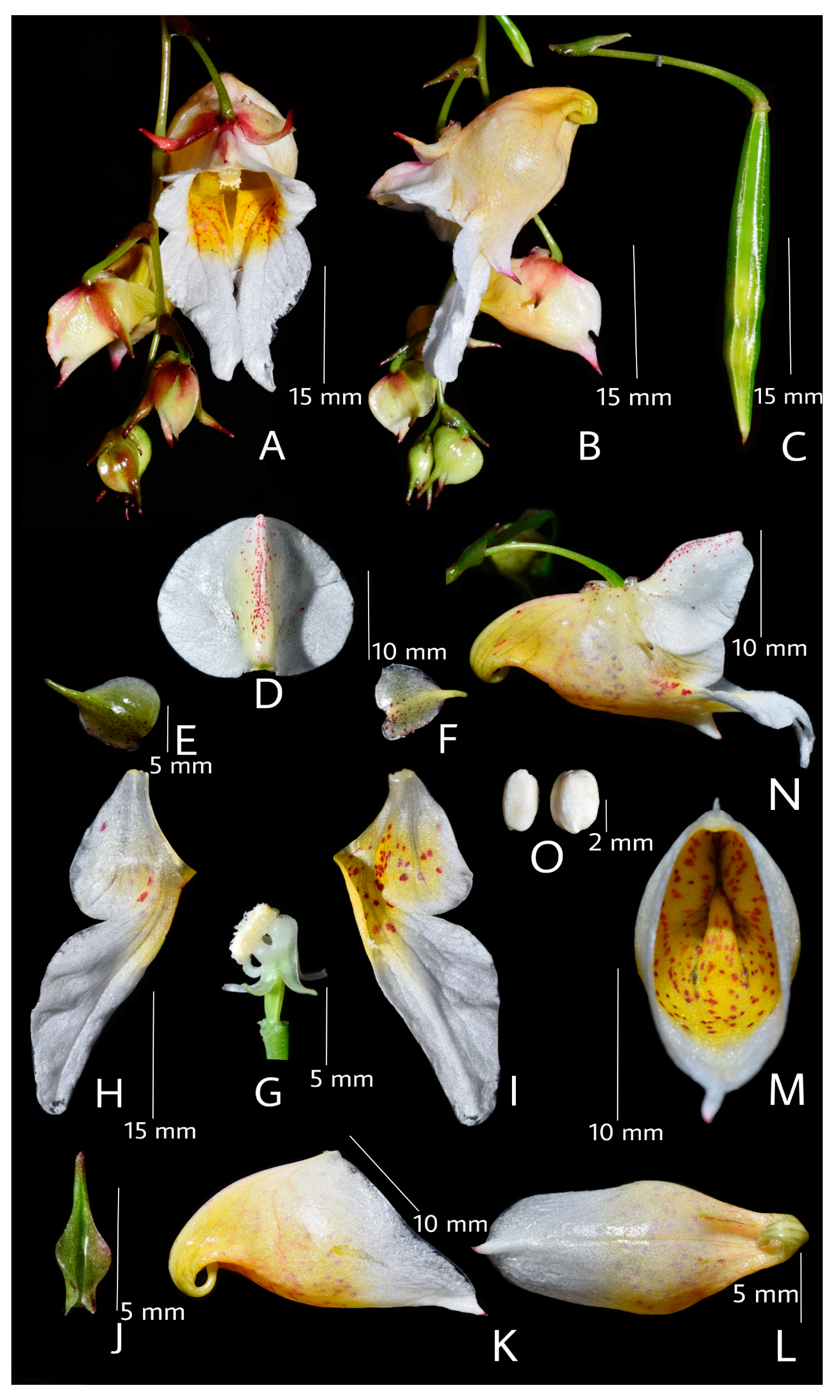 Preprints 149372 g003