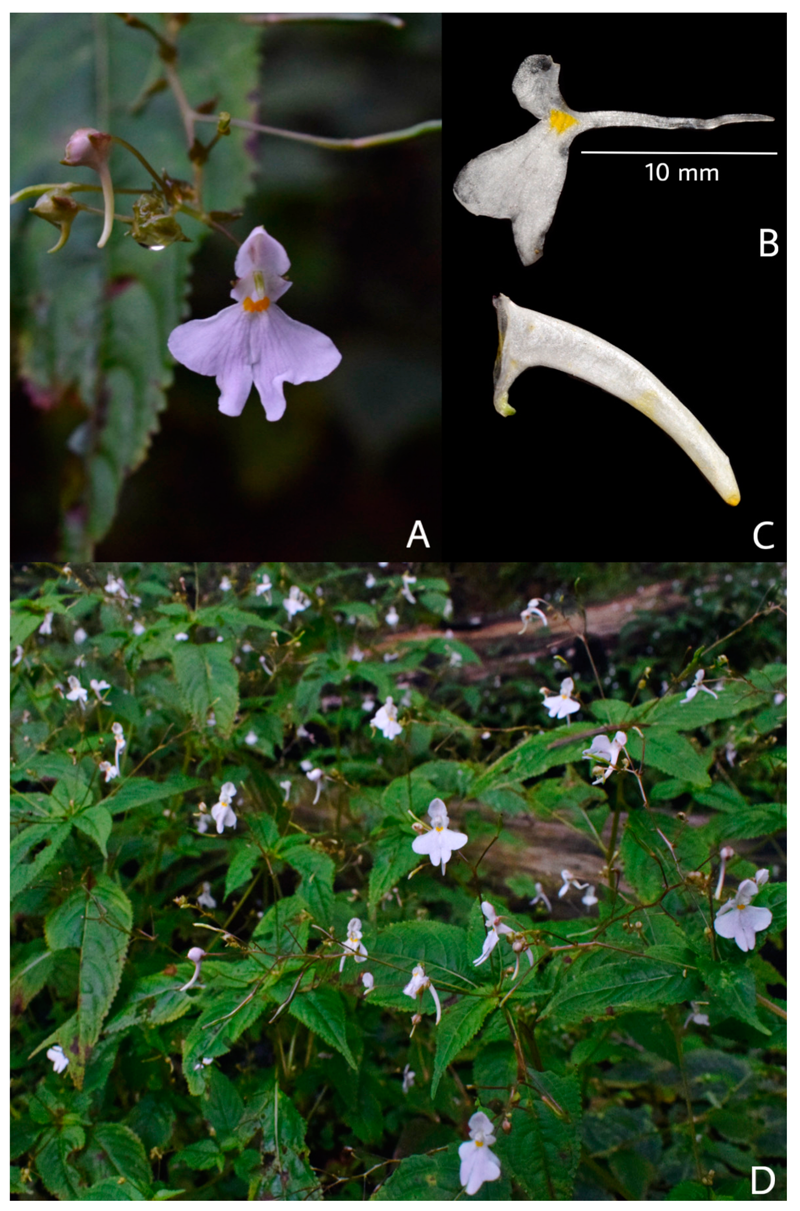 Preprints 149372 g005