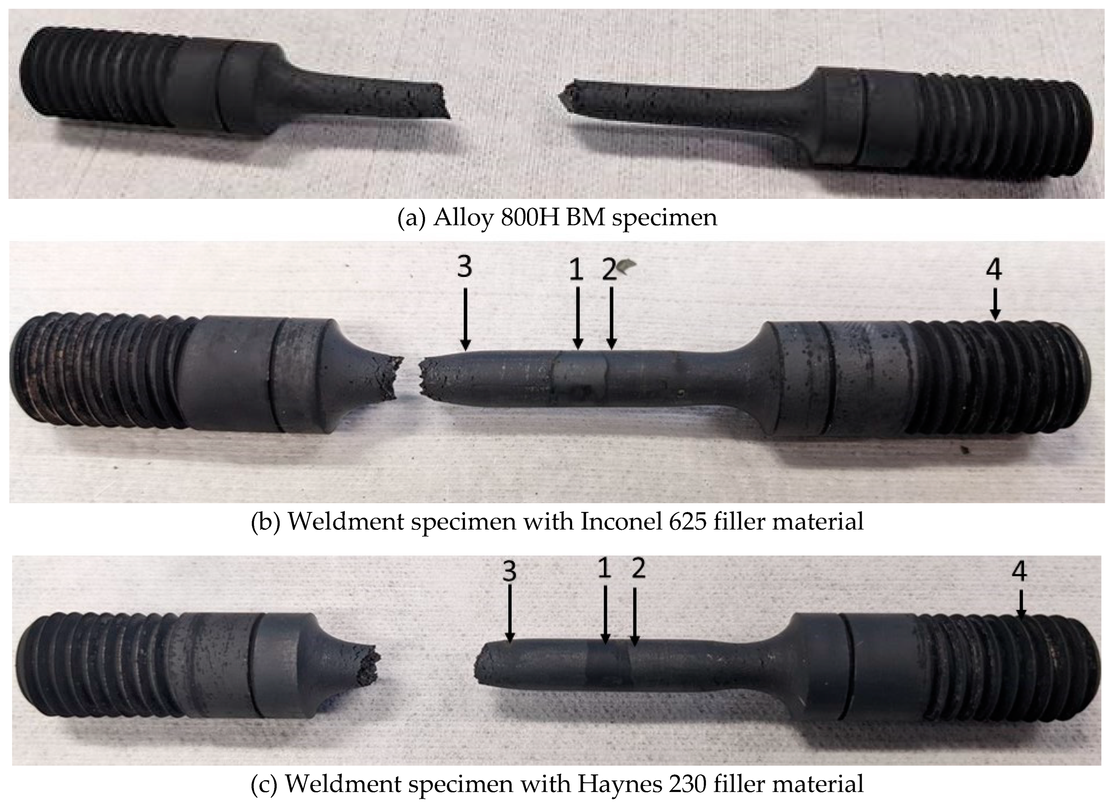 Preprints 95936 g006