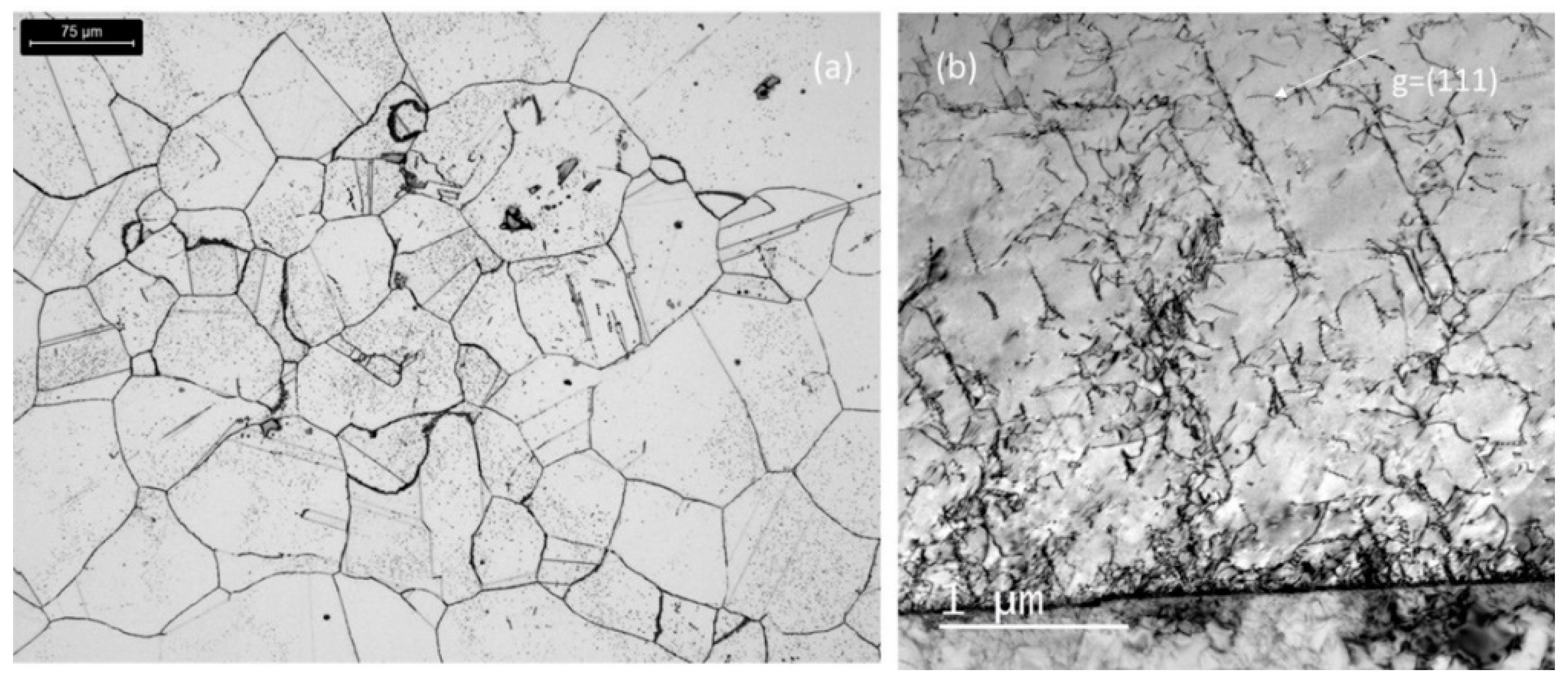 Preprints 95936 g007