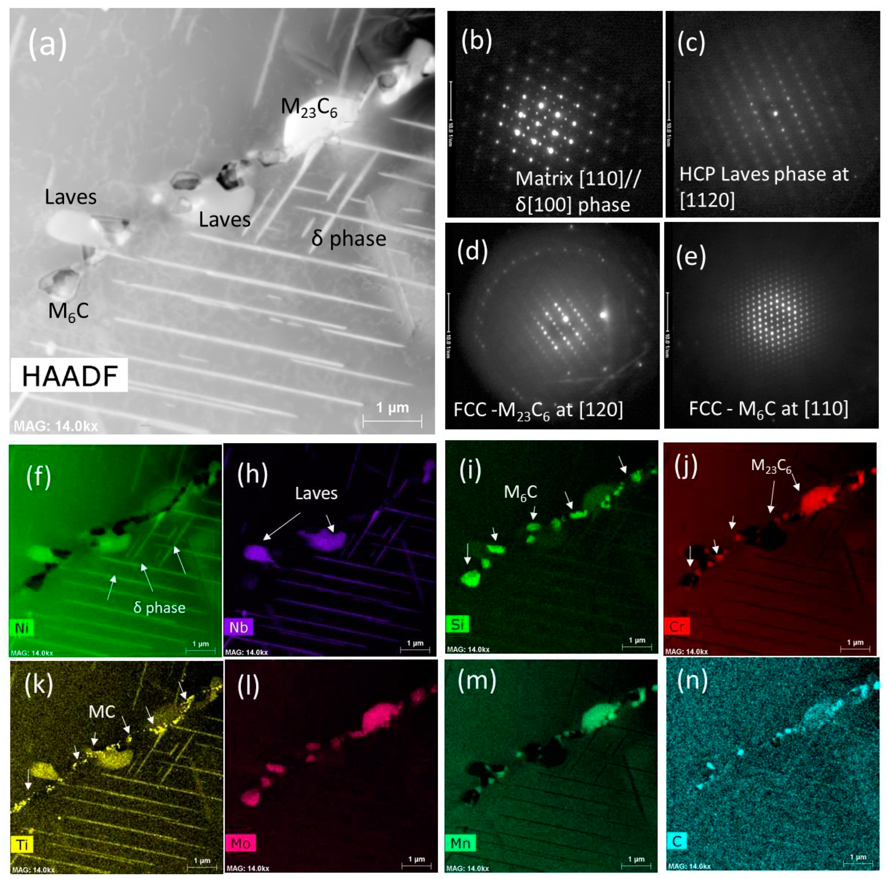 Preprints 95936 g013