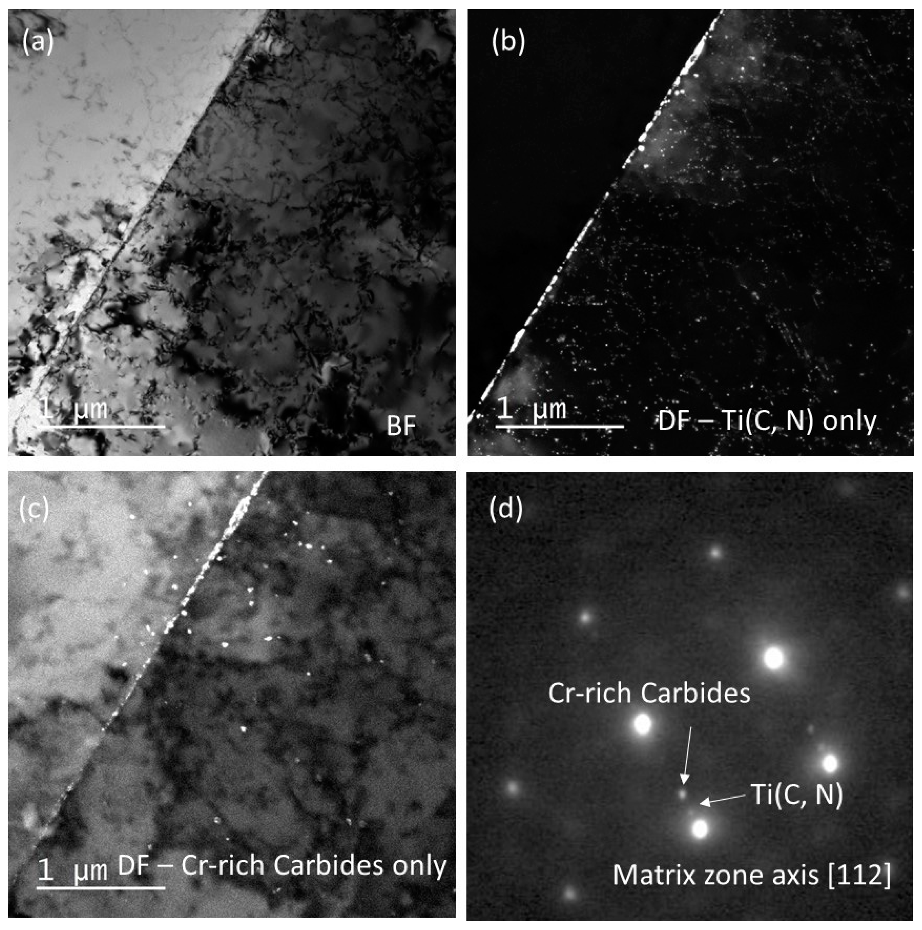 Preprints 95936 g015