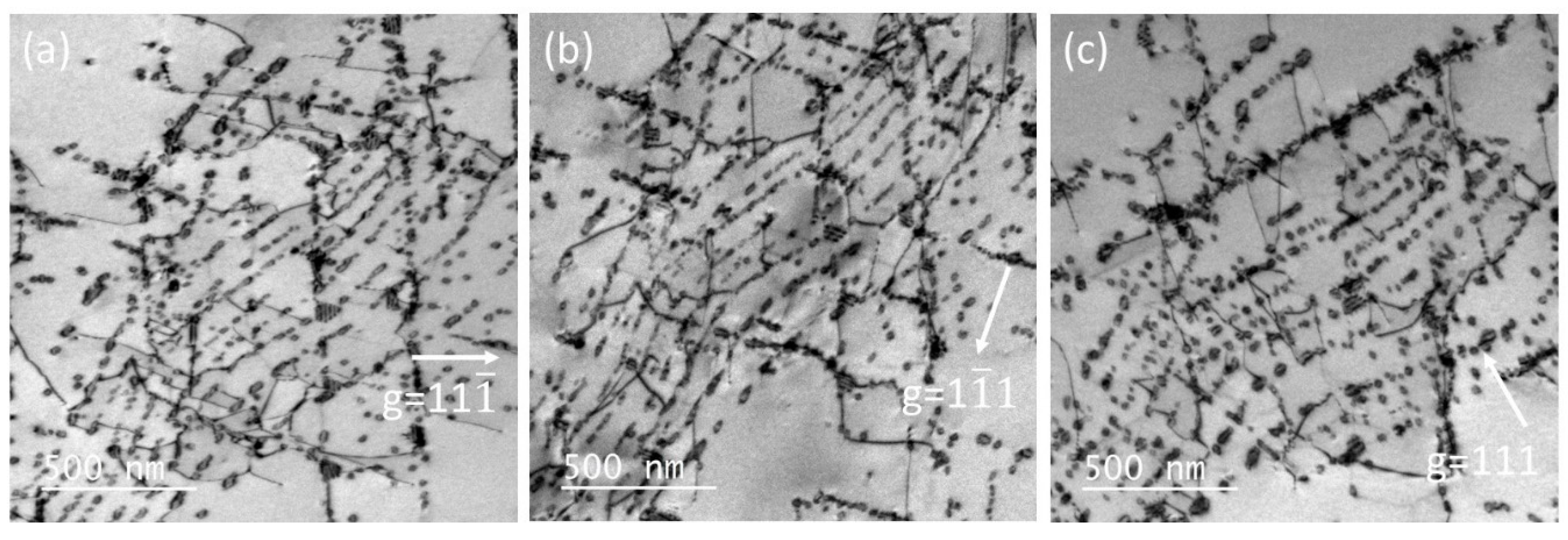 Preprints 95936 g016
