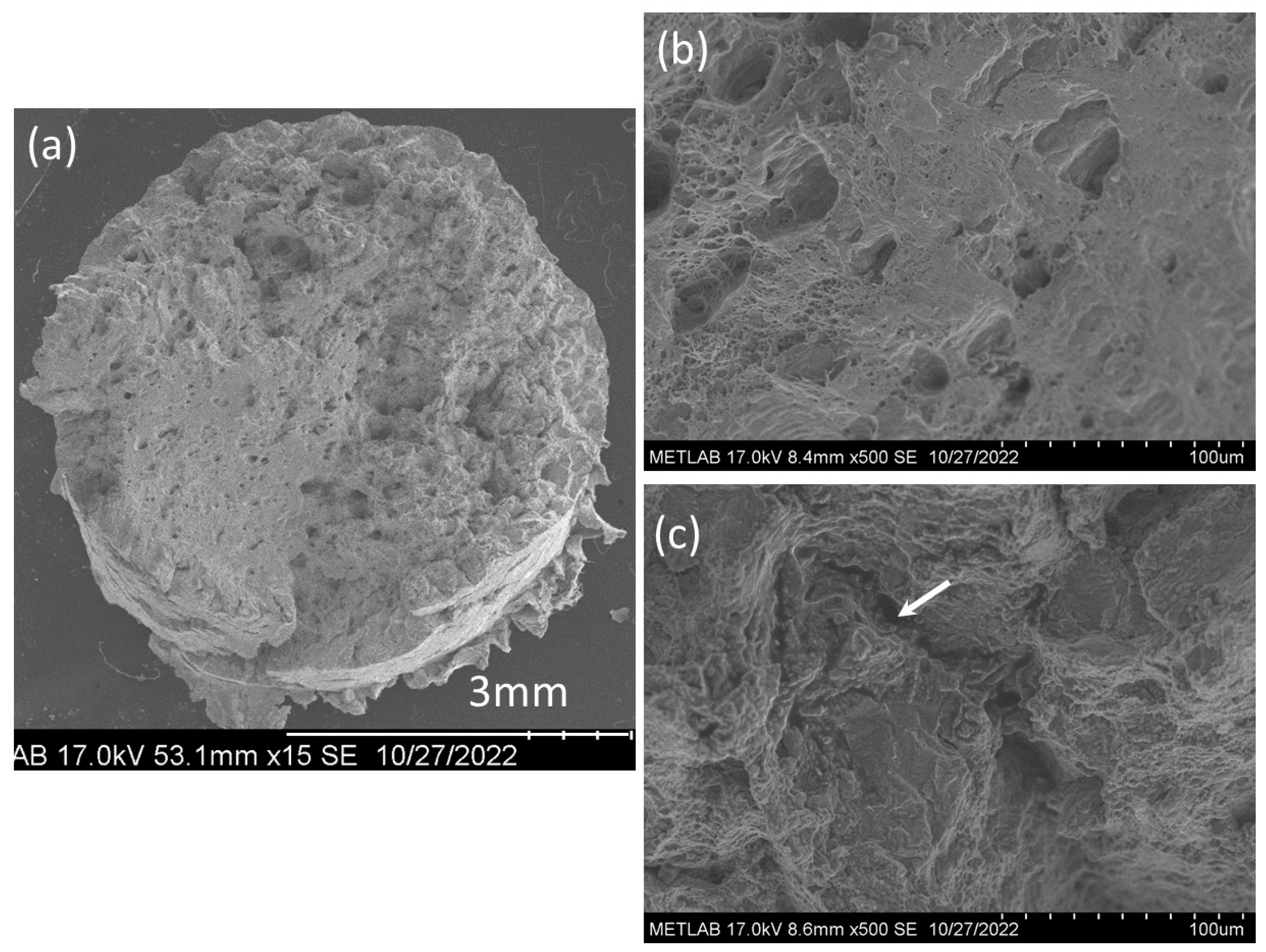 Preprints 95936 g019