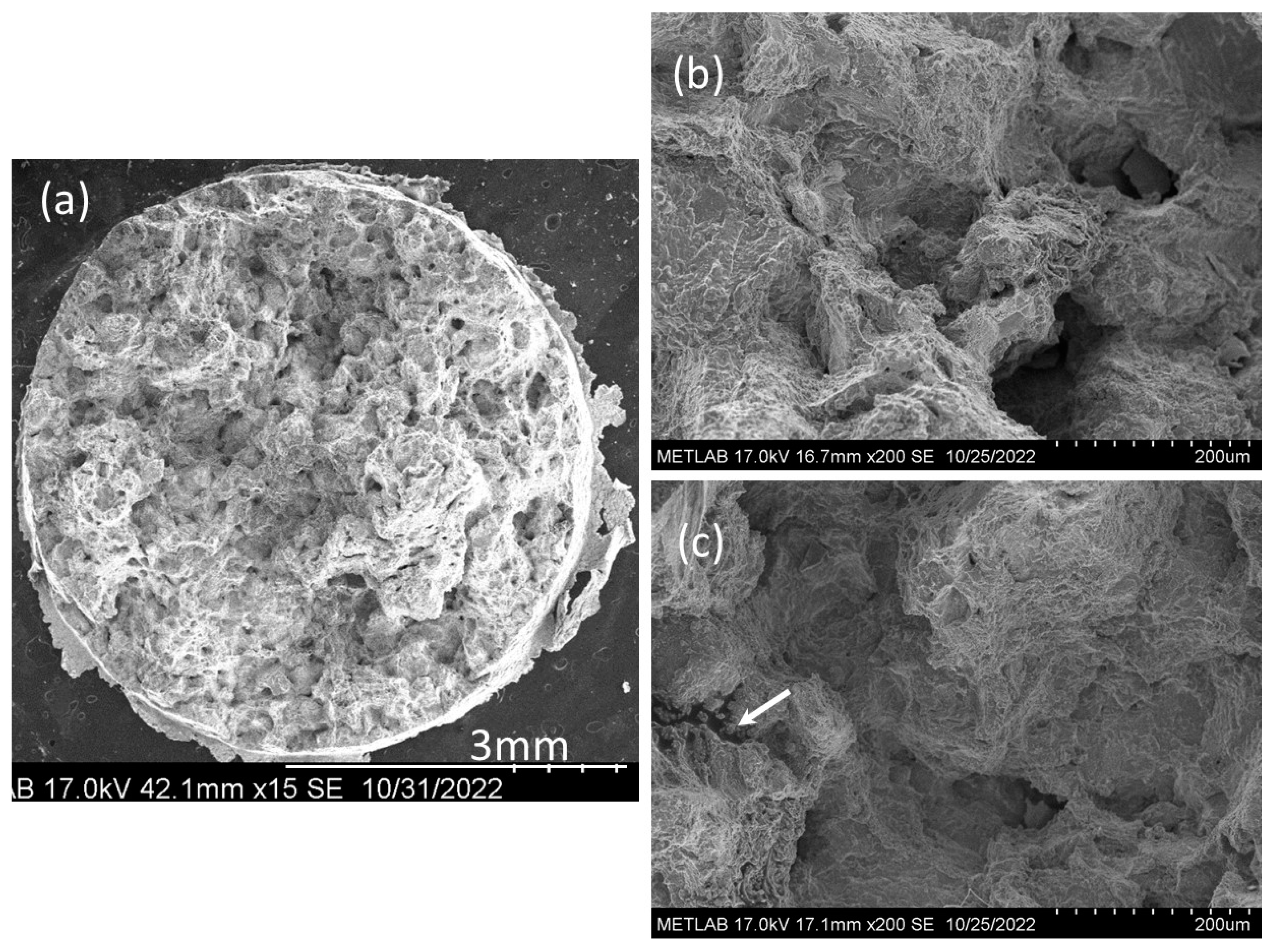 Preprints 95936 g021