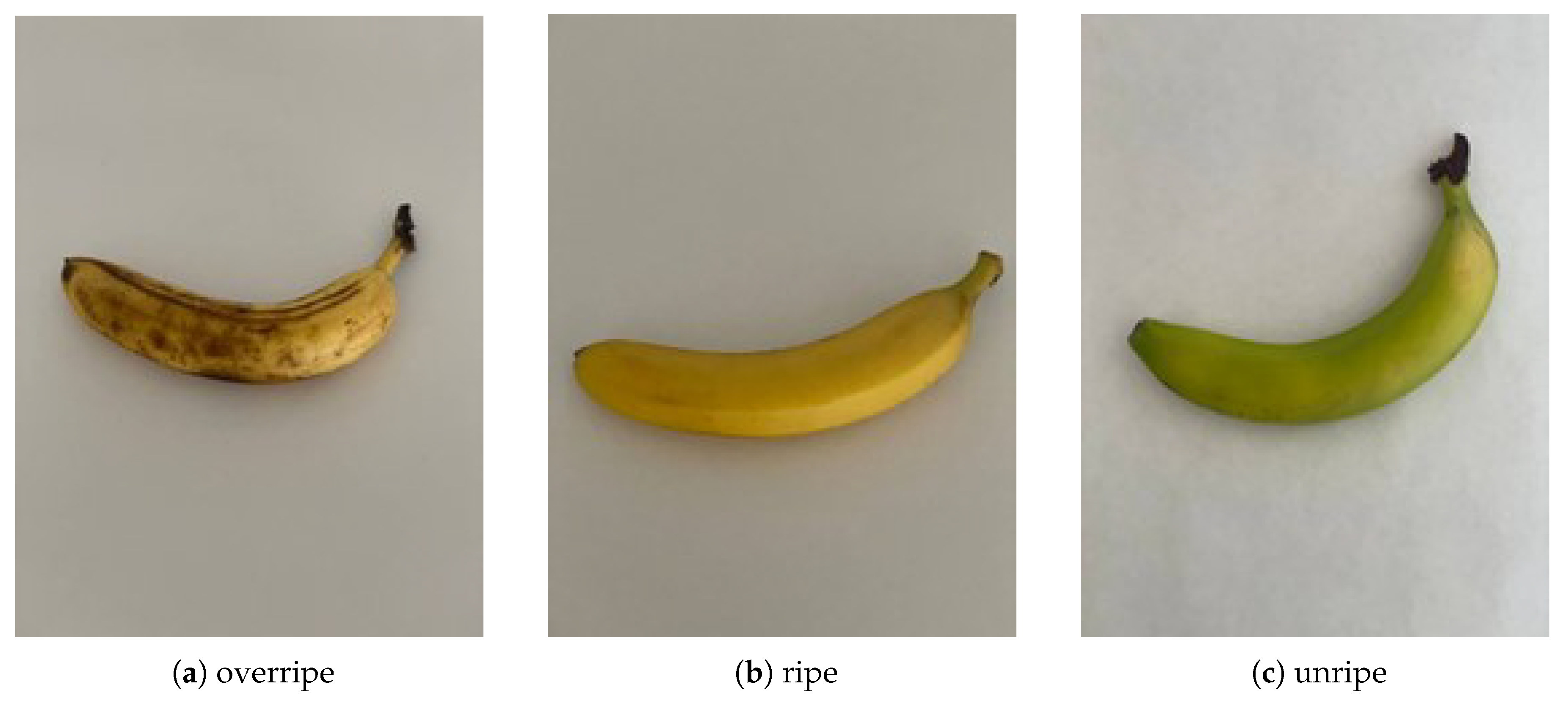 A Predictive Model for Recognizing Banana Ripeness[v1] | Preprints.org