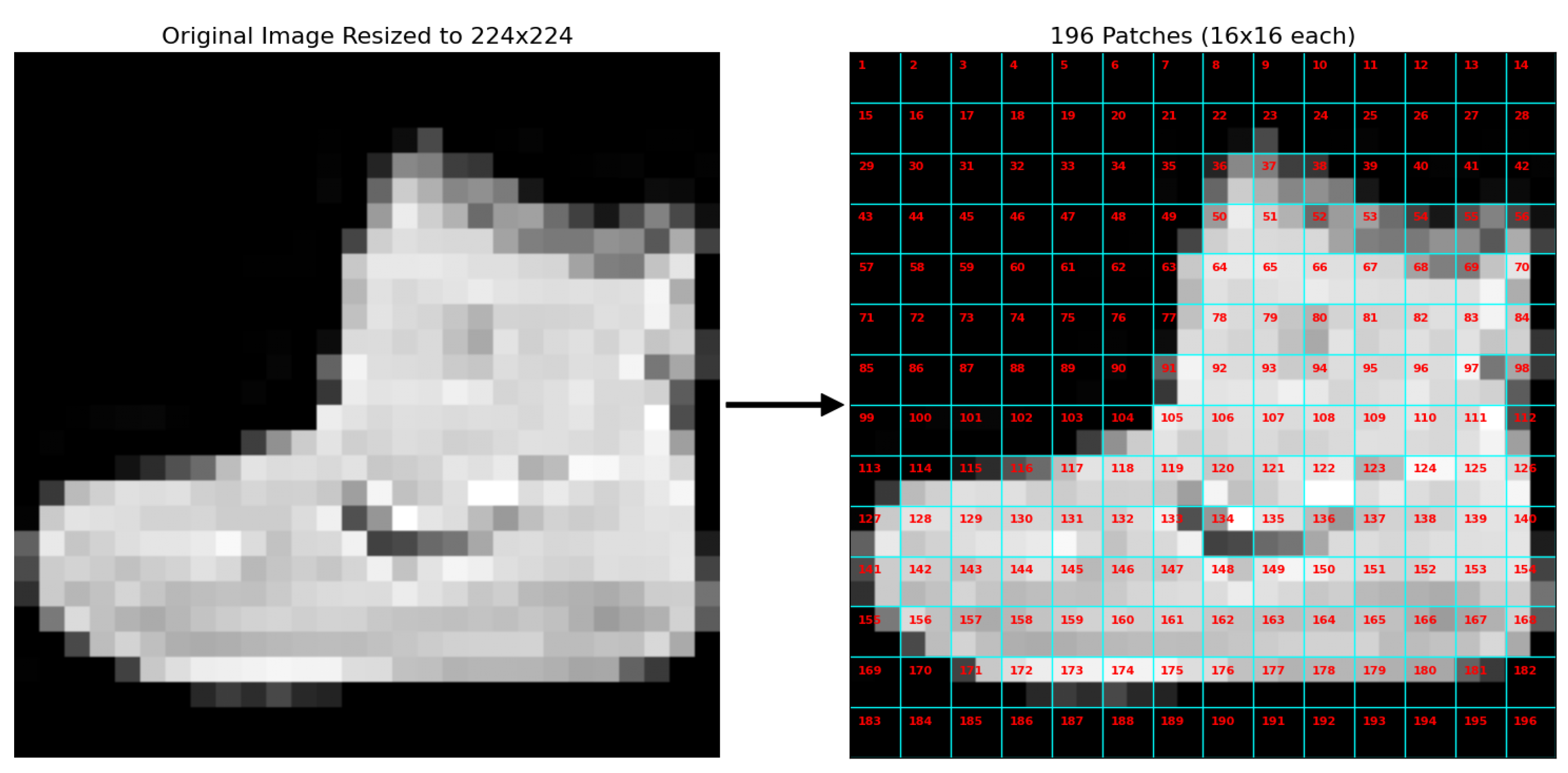 Preprints 183029 g001
