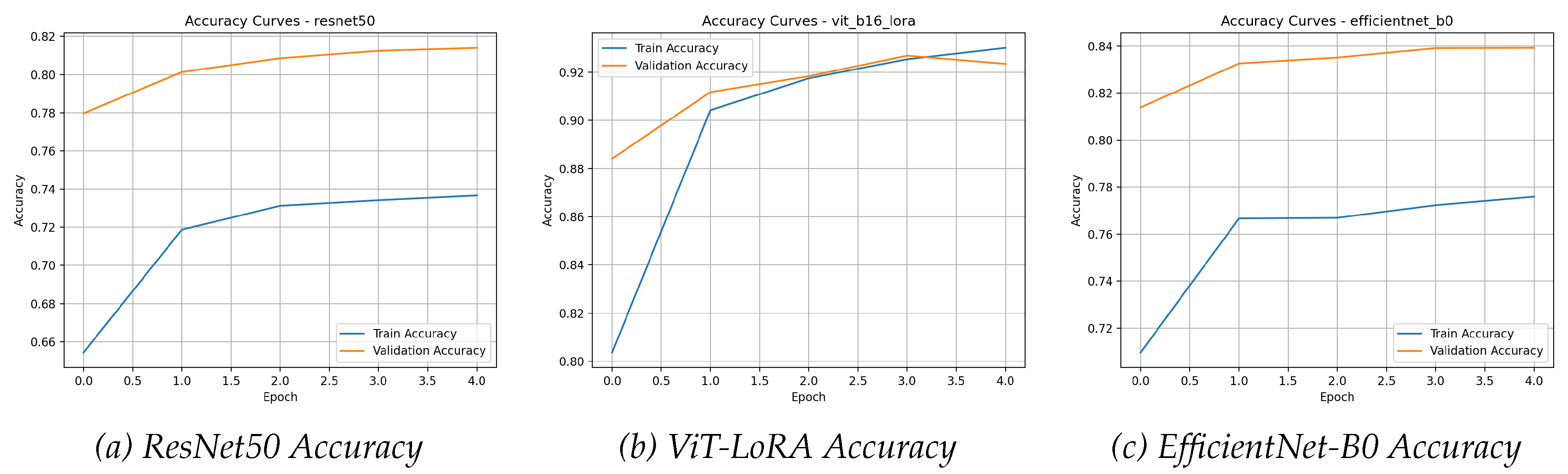Preprints 183029 g008