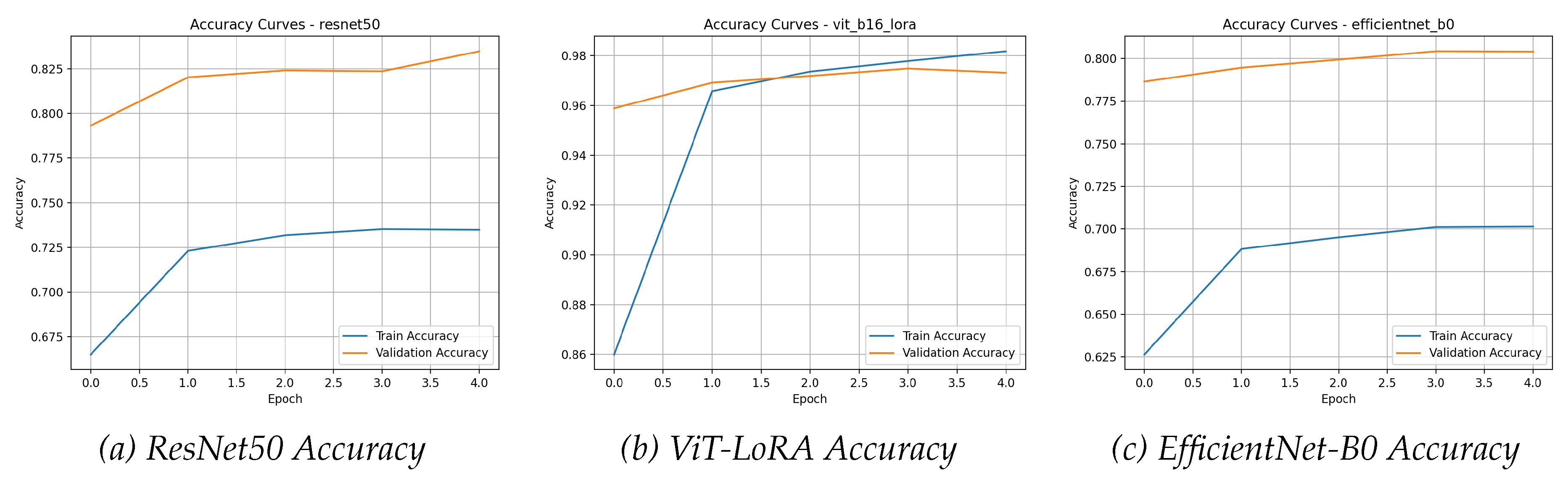 Preprints 183029 g012