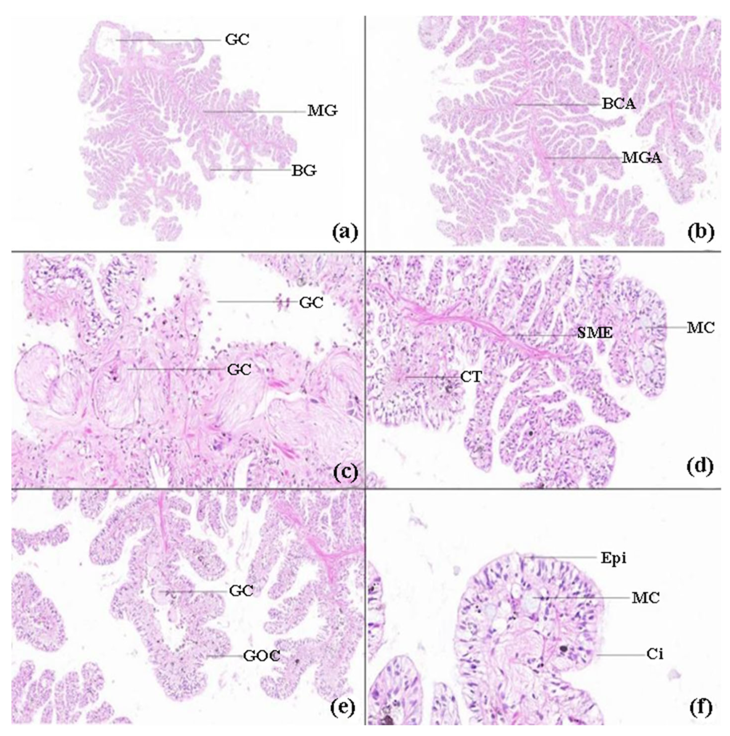 Preprints 224822 g004