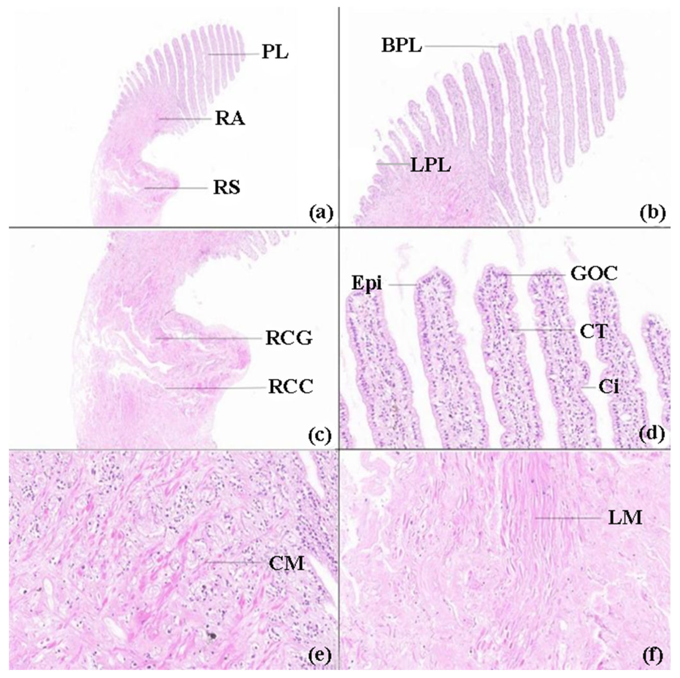 Preprints 224822 g007