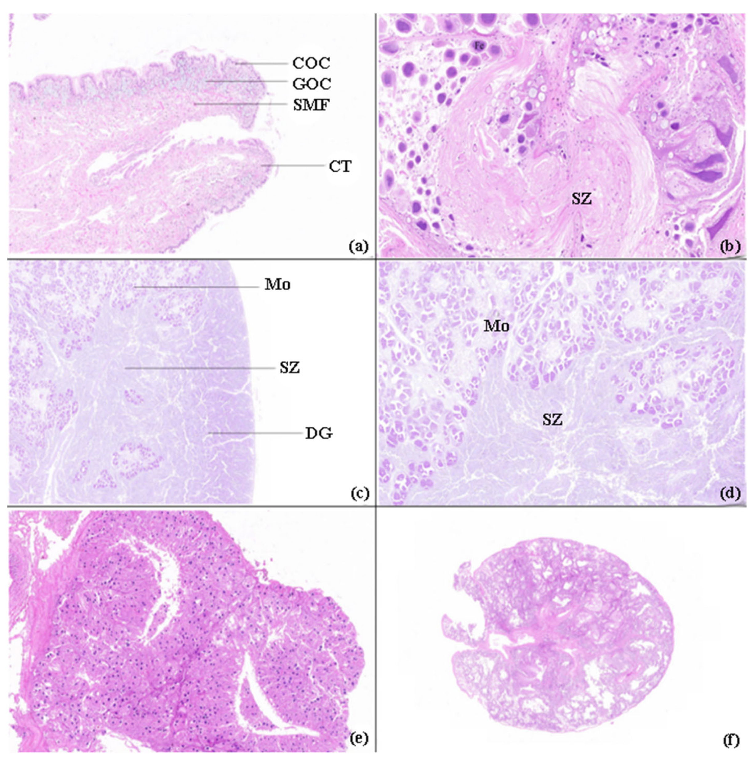 Preprints 224822 g009