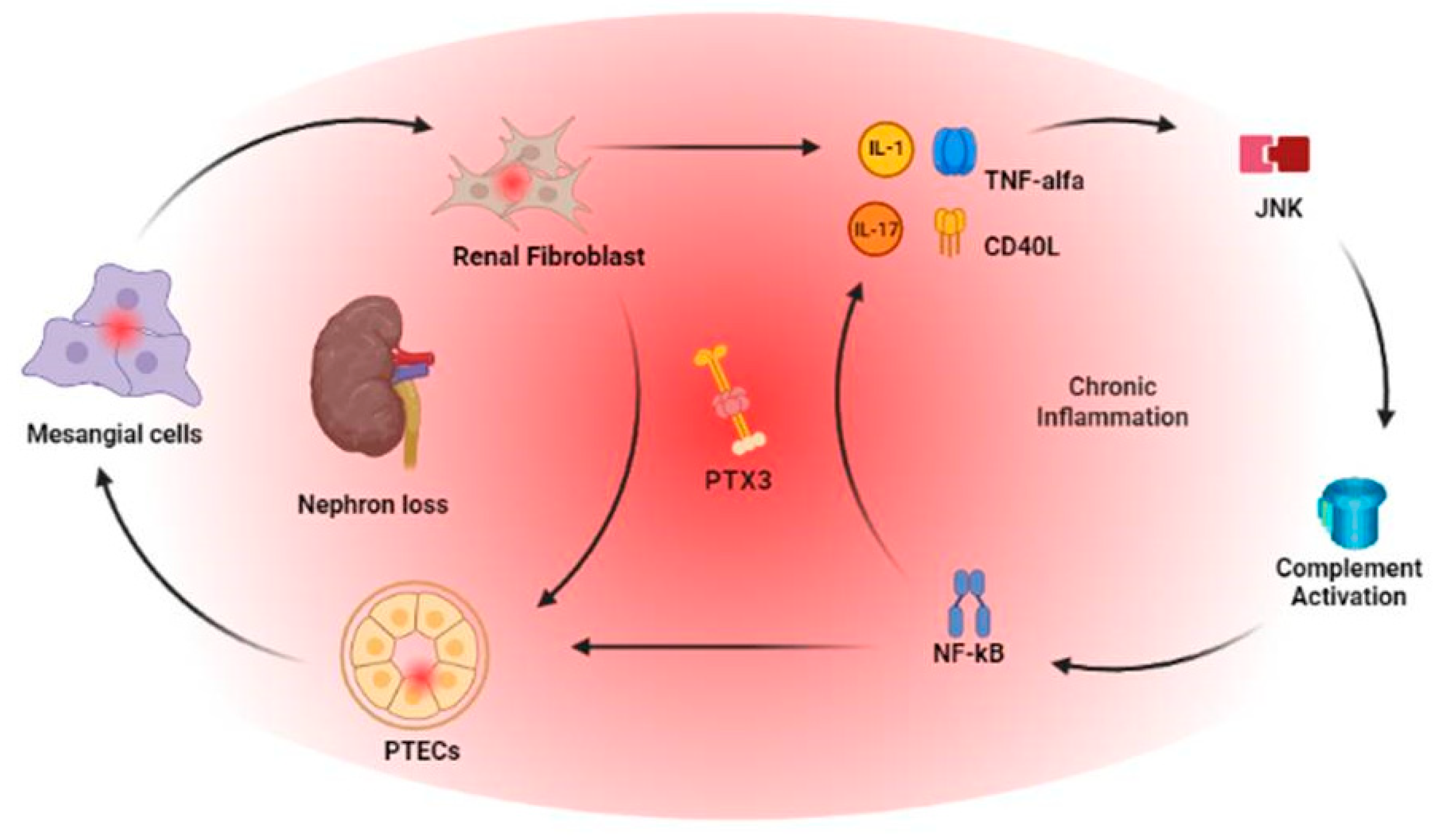 Preprints 74387 g001