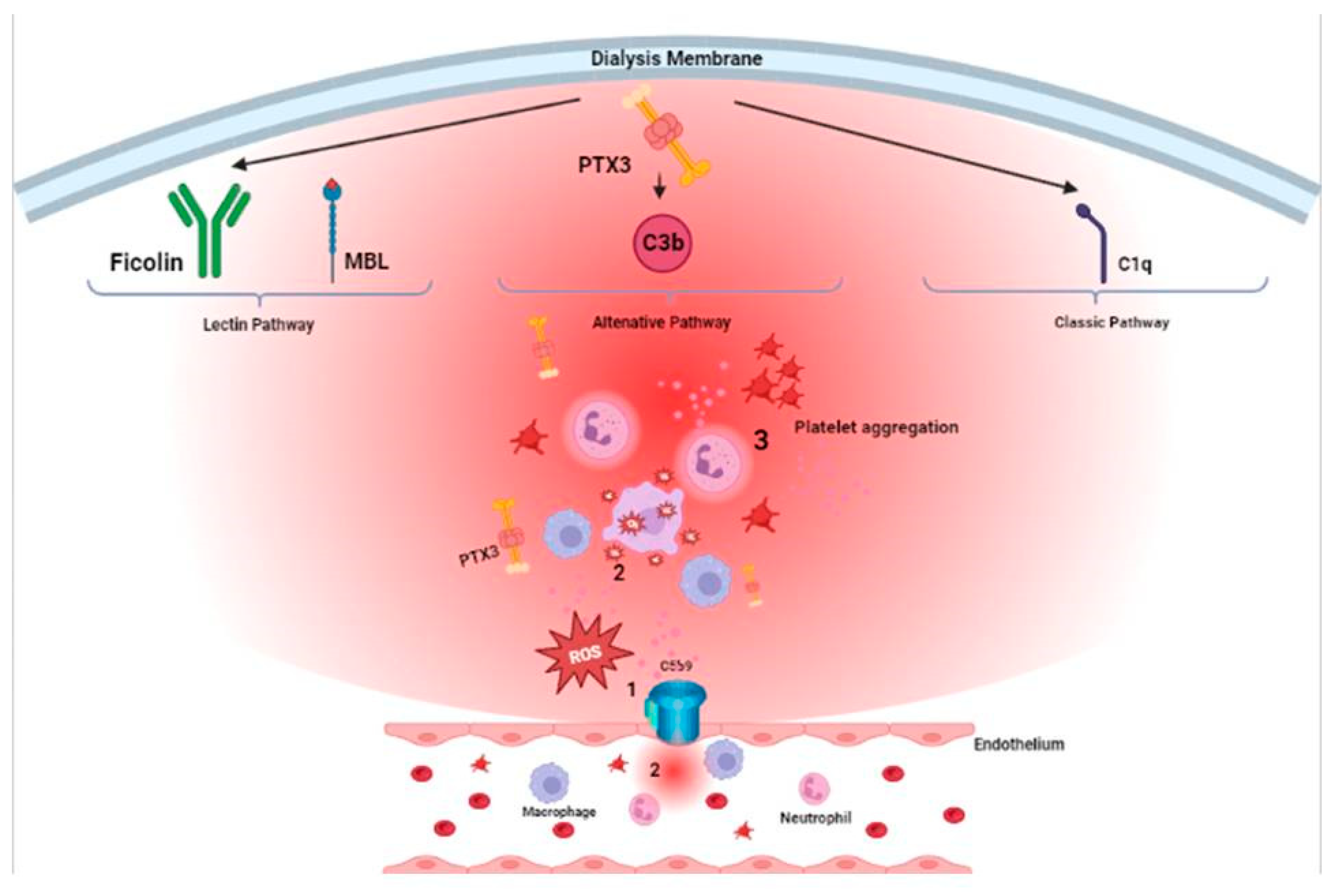 Preprints 74387 g002